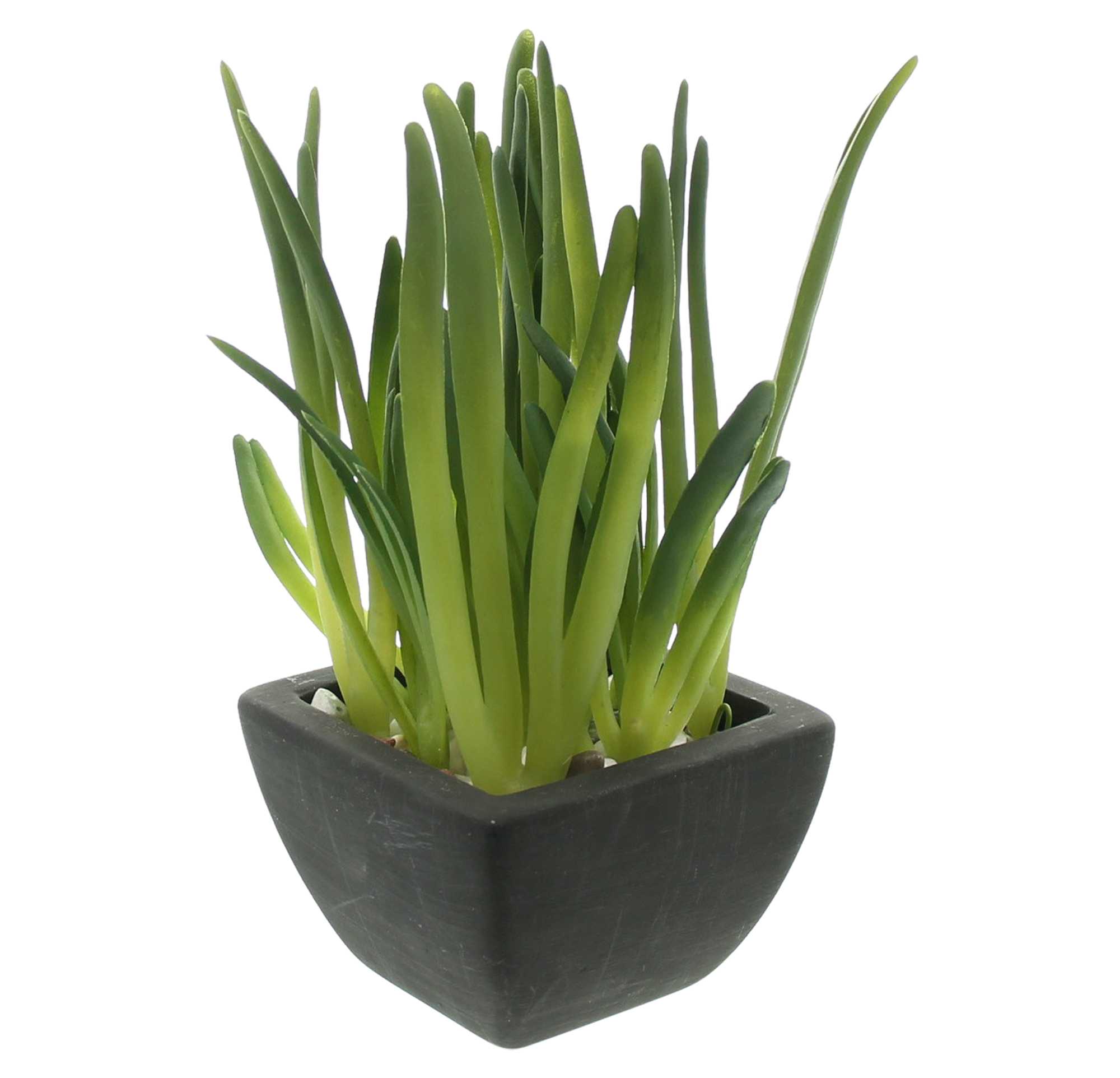 Acheter Lot de 2 plantes artificielles "verdure" dans la boutique en ligne de Frank Flechtwaren pour Plantes artificielles Acheter Lot de 2 plantes artificielles "verdure" dans la boutique en ligne de Frank Flechtwaren pour Plantes artificielles
