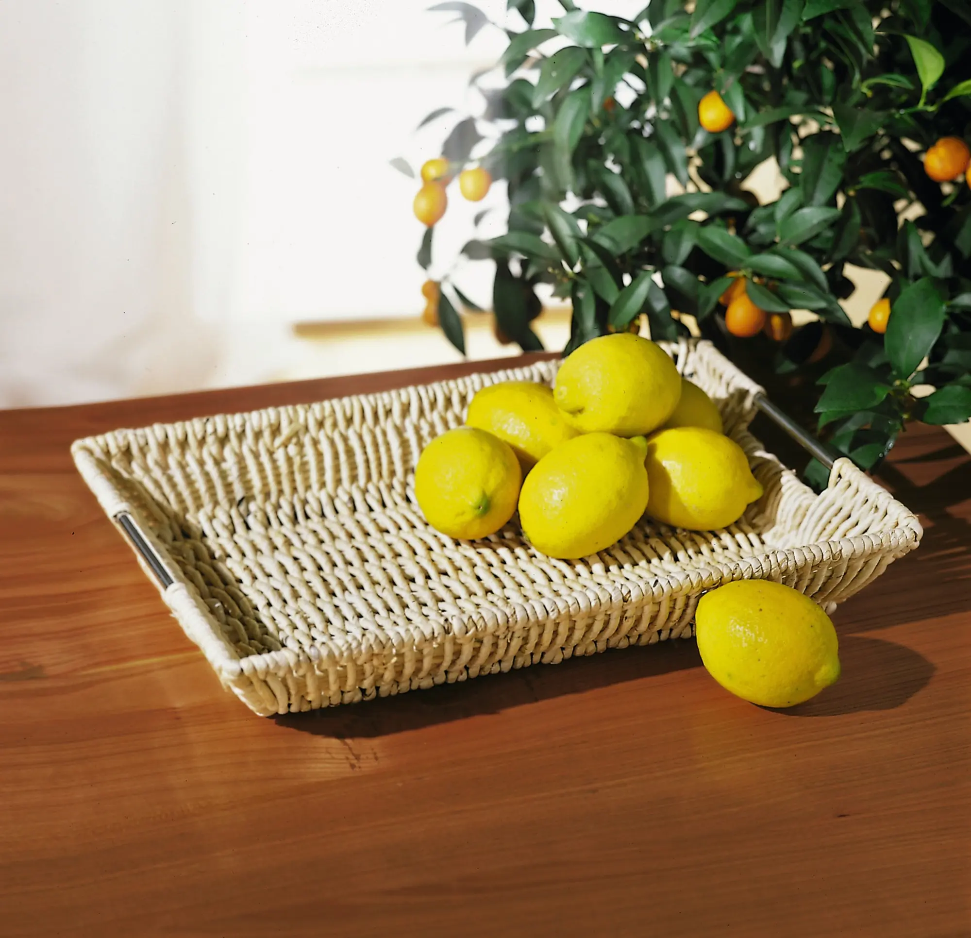 Acheter Plateau déco "moderne"  dans la boutique en ligne de Frank Flechtwaren pour Coupes