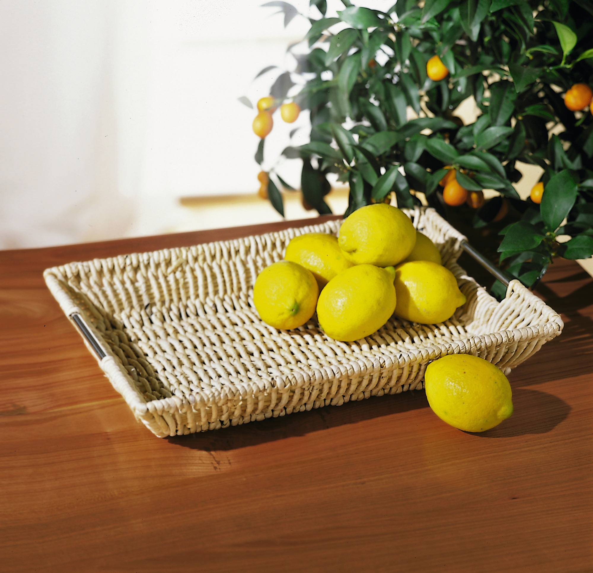 Acheter Plateau déco "moderne"  dans la boutique en ligne de Frank Flechtwaren