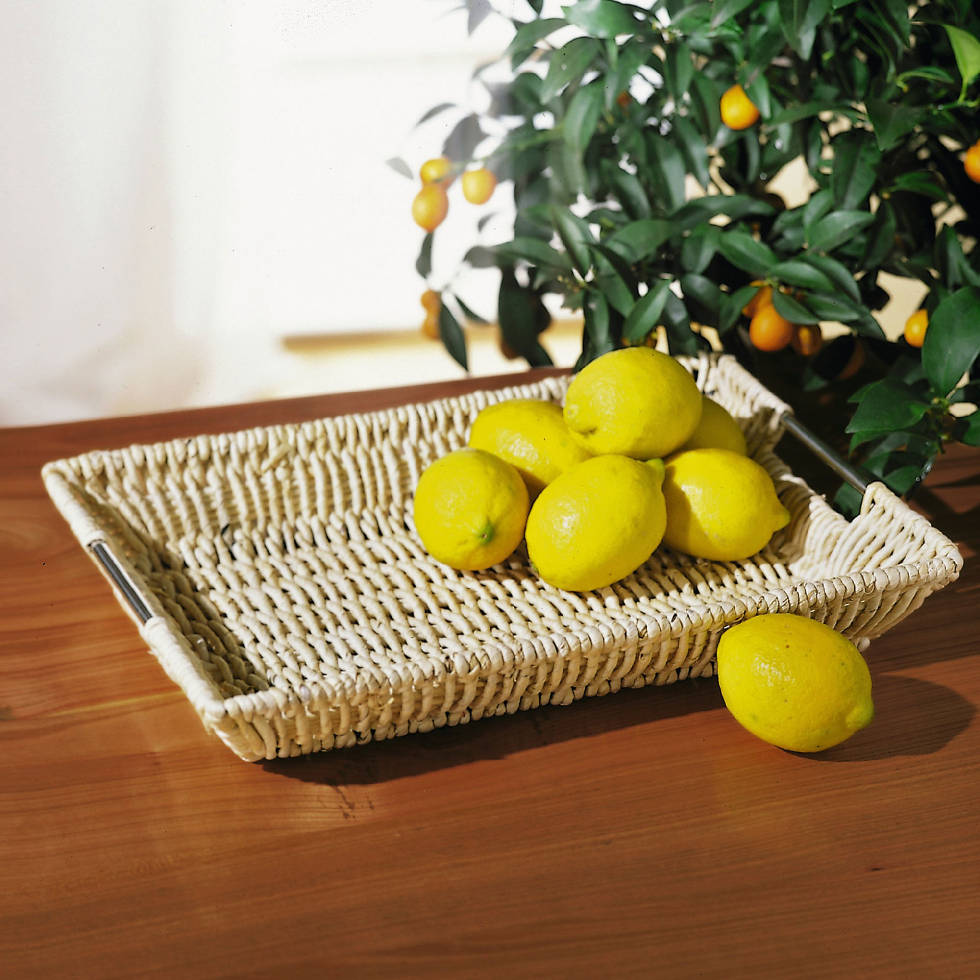 Acheter Plateau déco "moderne"  dans la boutique en ligne de Frank Flechtwaren