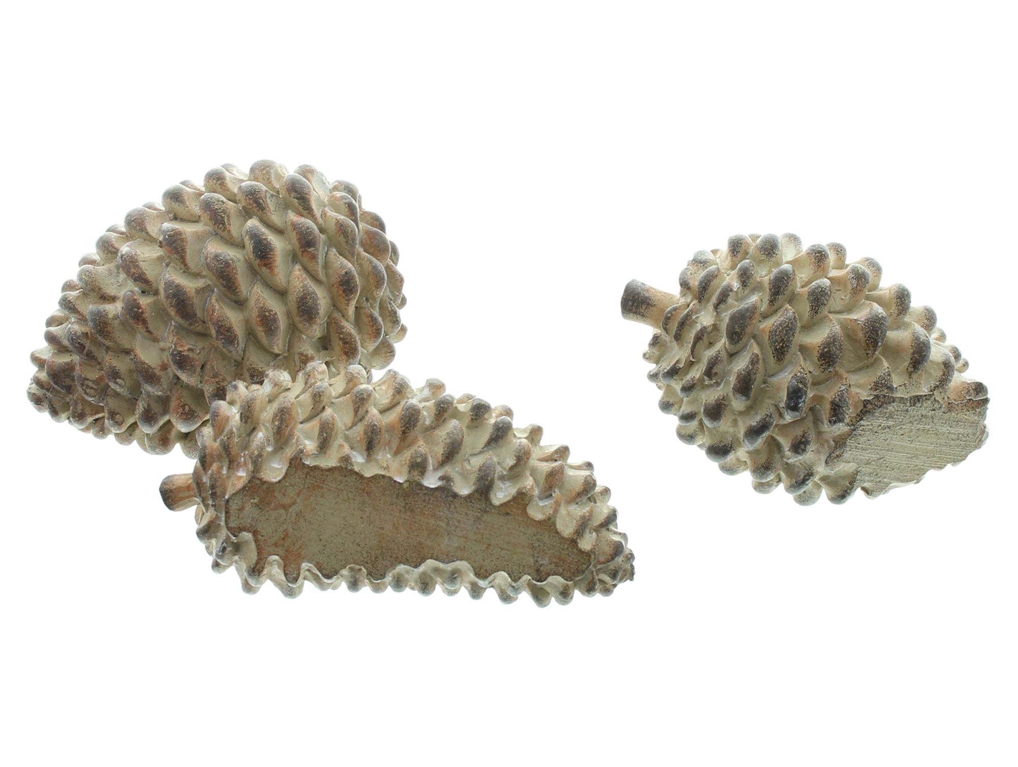 Acheter Pommes de pin décoratives « Natural », lot de 3 dans la boutique en ligne de Frank Flechtwaren pour Accessoires