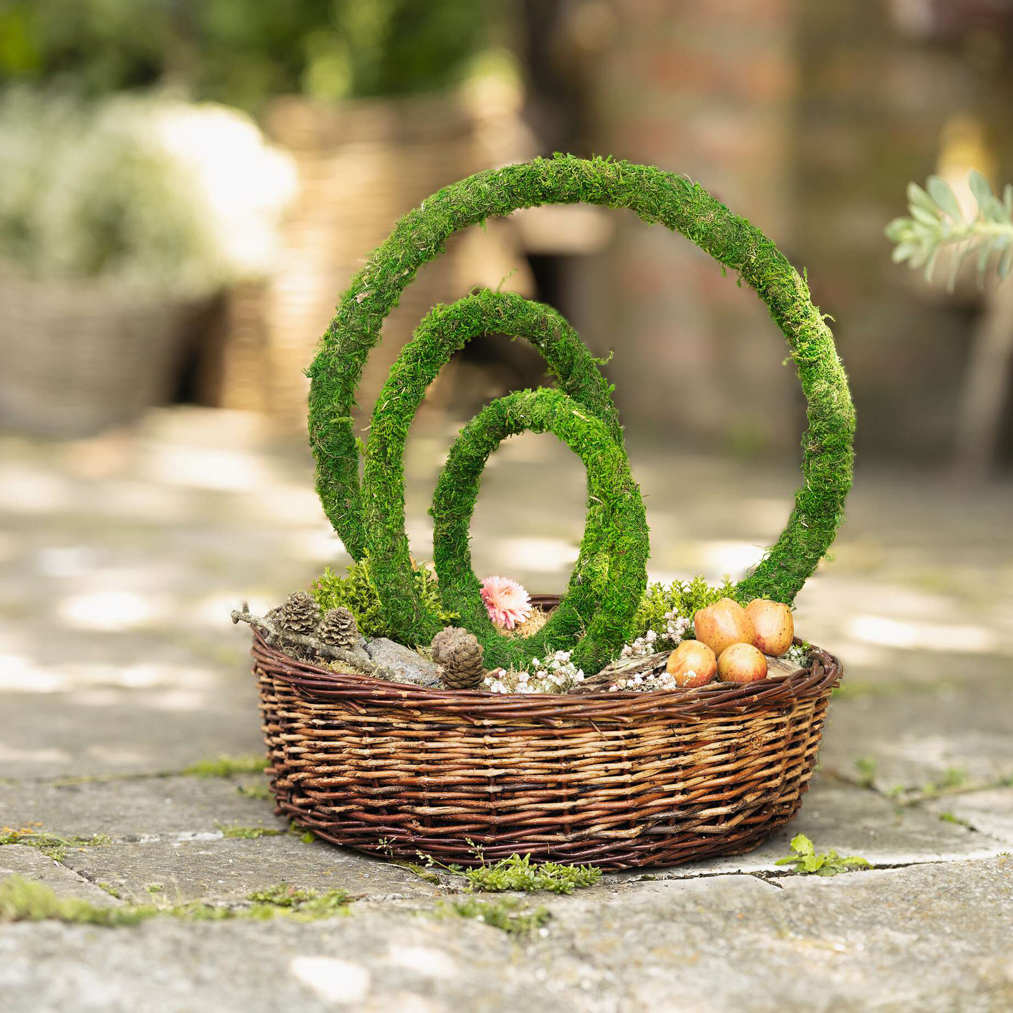 Acheter Lot de 3 anneaux décoratifs "mousse"  dans la boutique en ligne de Frank Flechtwaren pour Couronnes