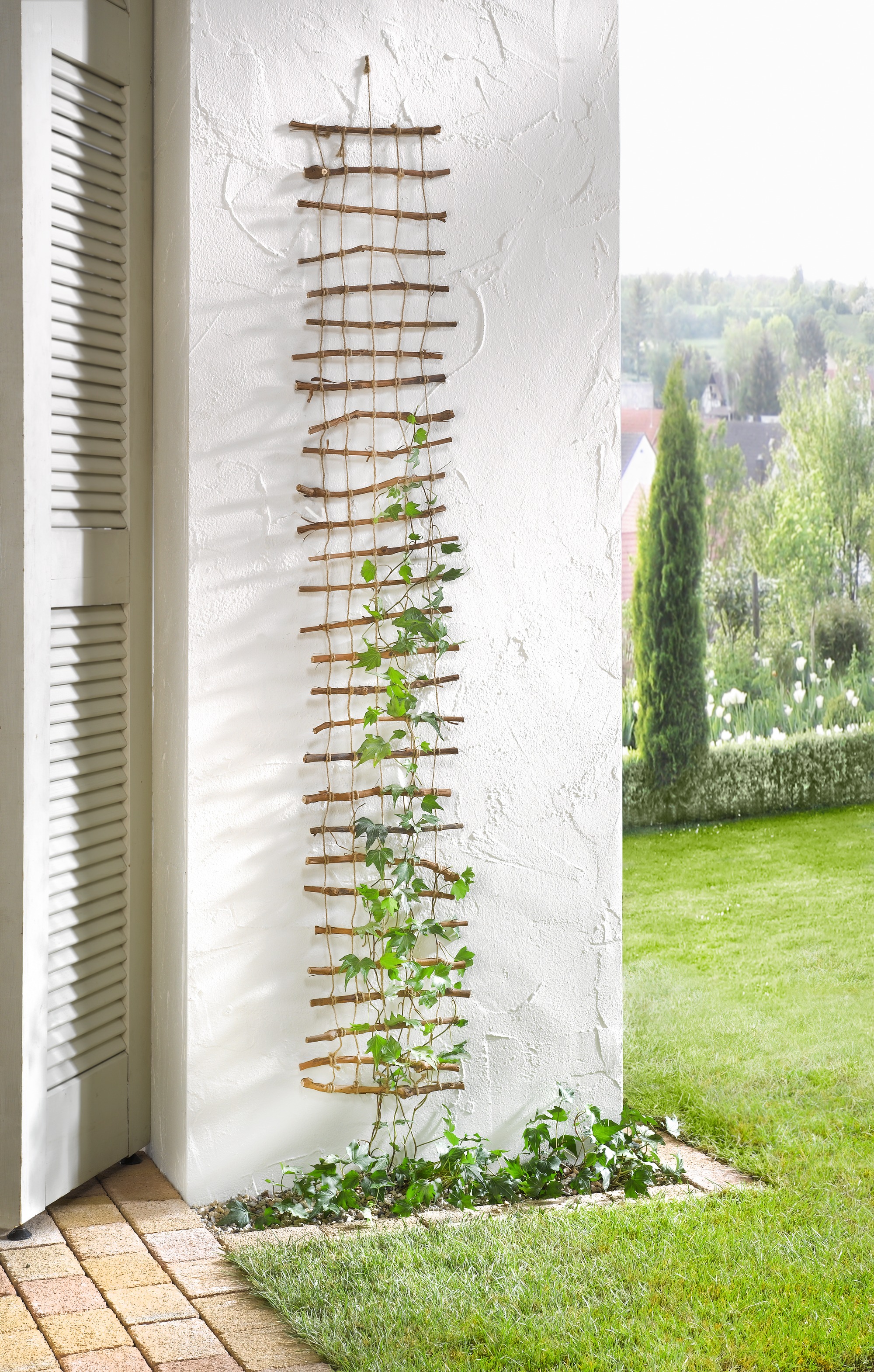 Acheter Suspension "grille" dans la boutique en ligne de Frank Flechtwaren pour Treillis & arceaux Acheter Suspension "grille" dans la boutique en ligne de Frank Flechtwaren pour Treillis & arceaux