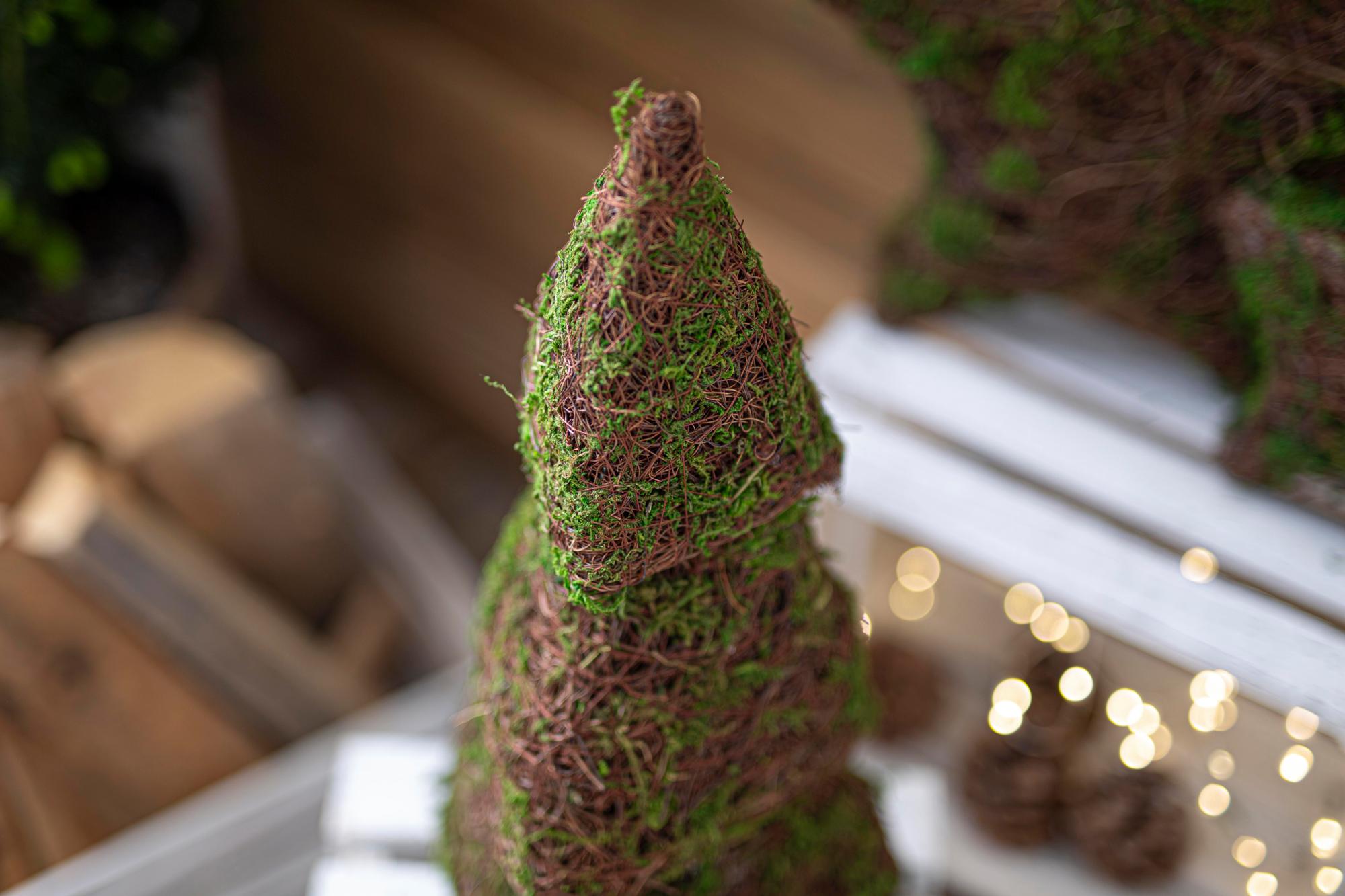 Acheter Pyramide de sapin « Mousse »  dans la boutique en ligne de Frank Flechtwaren pour Sapins