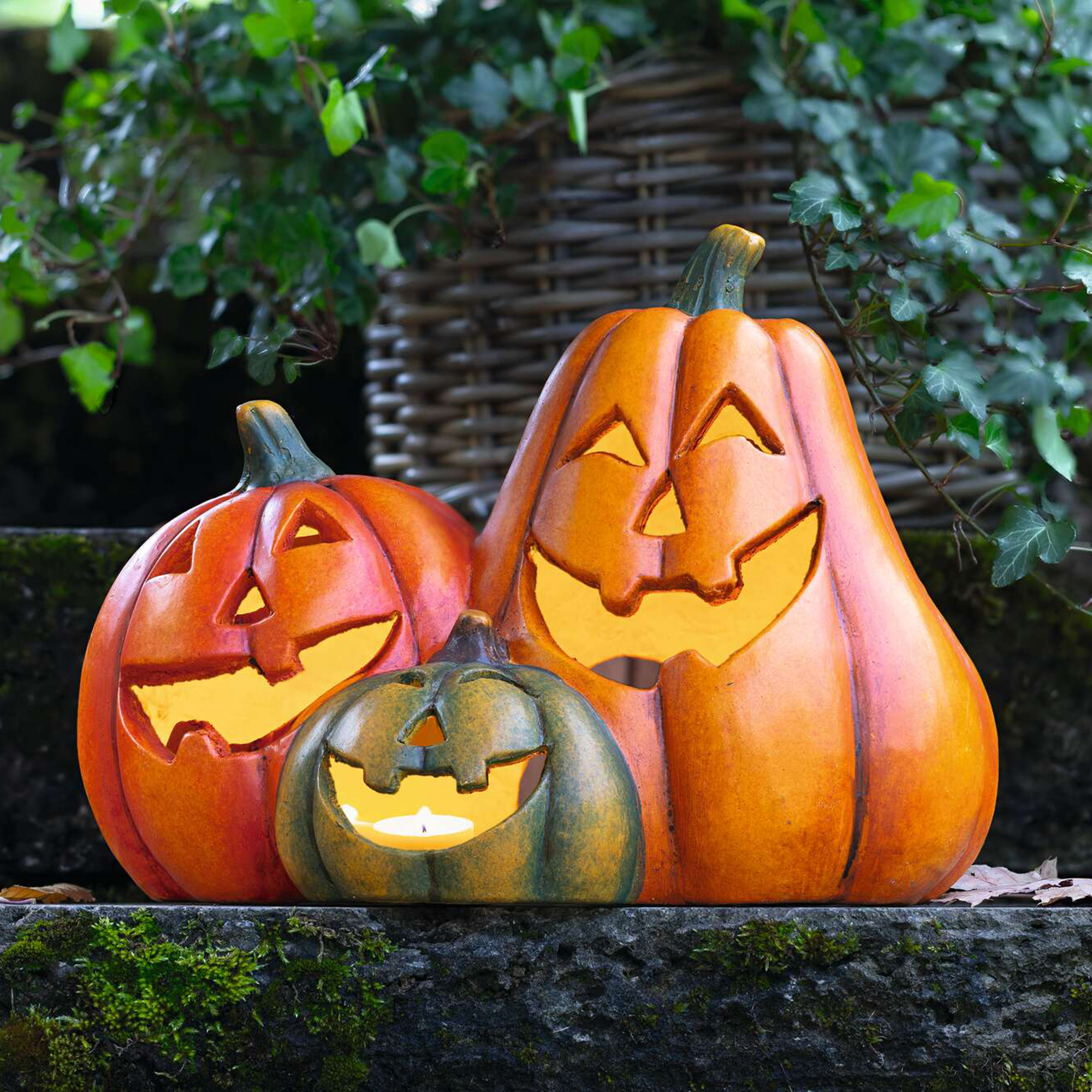 Acheter Trio de citrouilles "Smile"  dans la boutique en ligne de Frank Flechtwaren pour Jardin d'automne