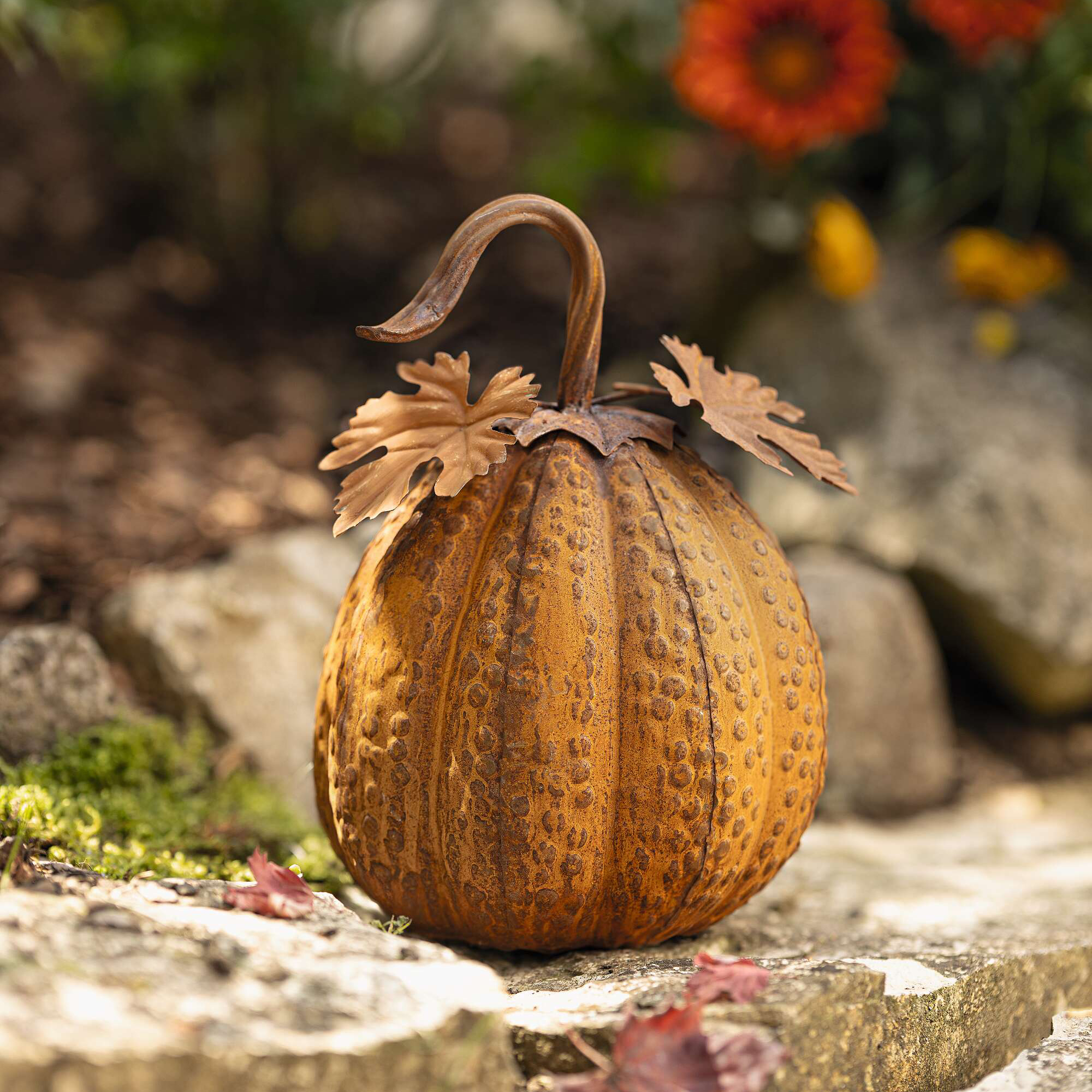 Acheter Décoration automnale "citrouille"  dans la boutique en ligne de Frank Flechtwaren