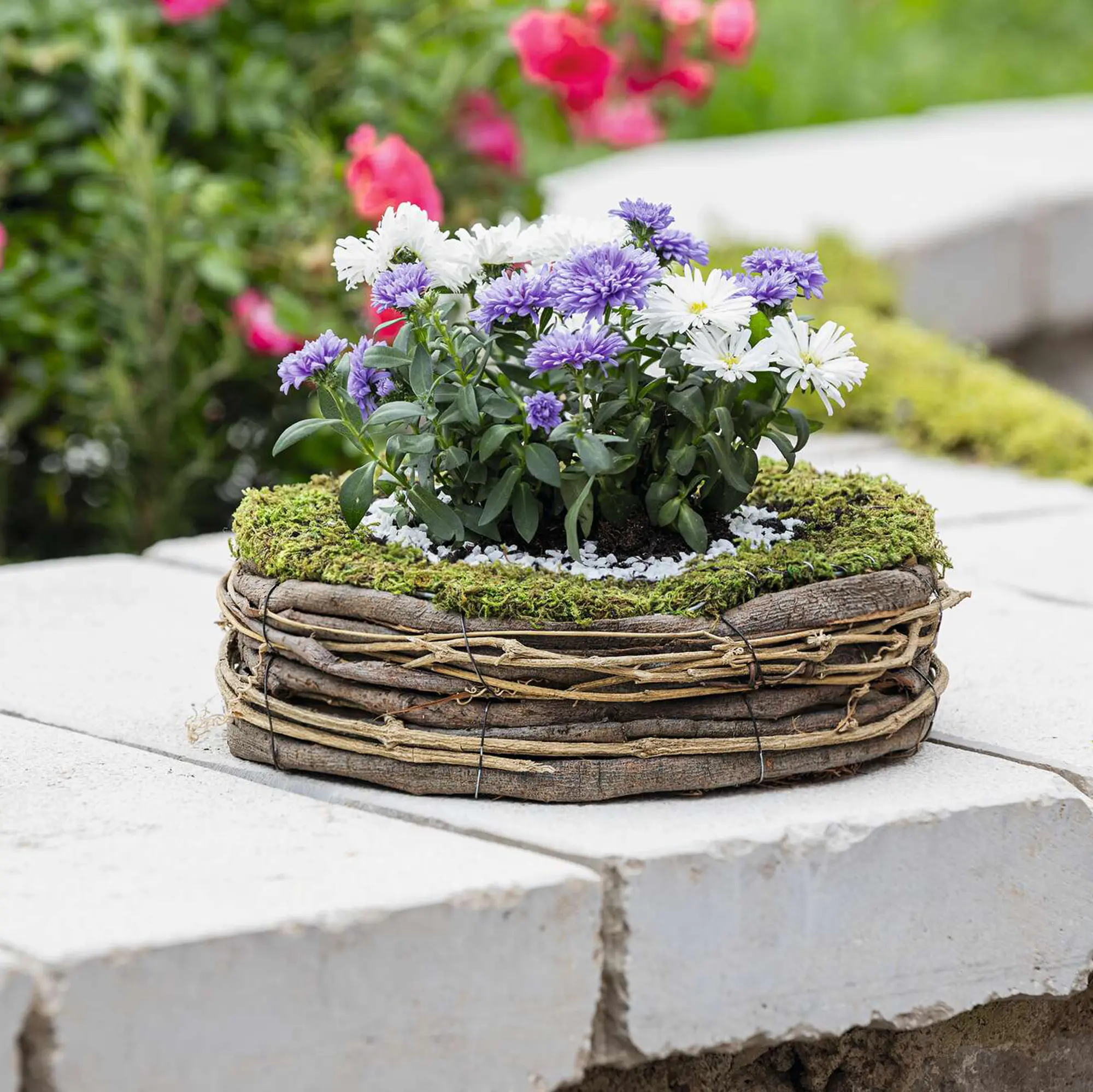 Acheter Jardinière "nature"  dans la boutique en ligne de Frank Flechtwaren