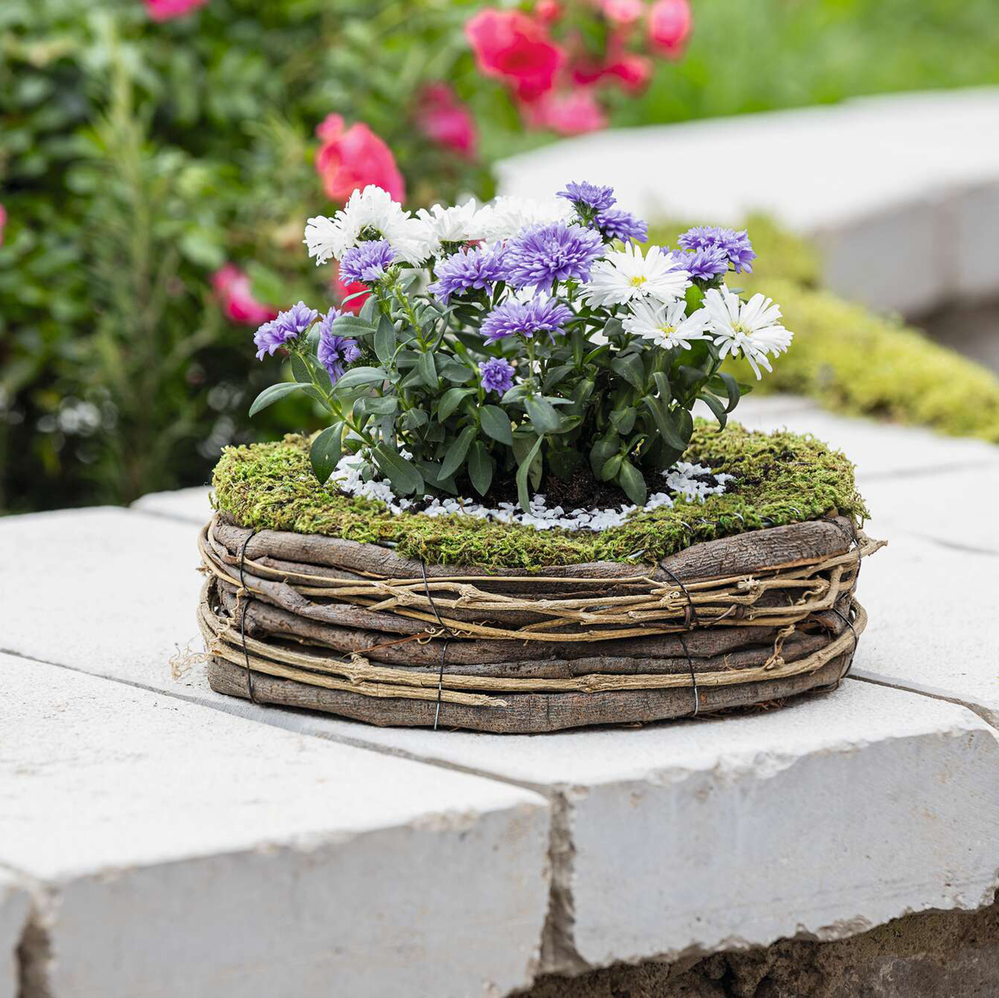 Acheter Jardinière "nature"  dans la boutique en ligne de Frank Flechtwaren