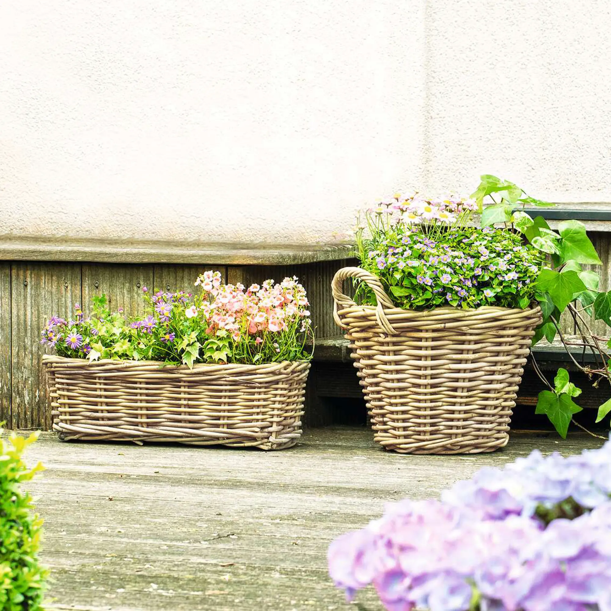 Acheter Panier à plantes "rotin", MM  dans la boutique en ligne de Frank Flechtwaren pour Jardinières corbeilles