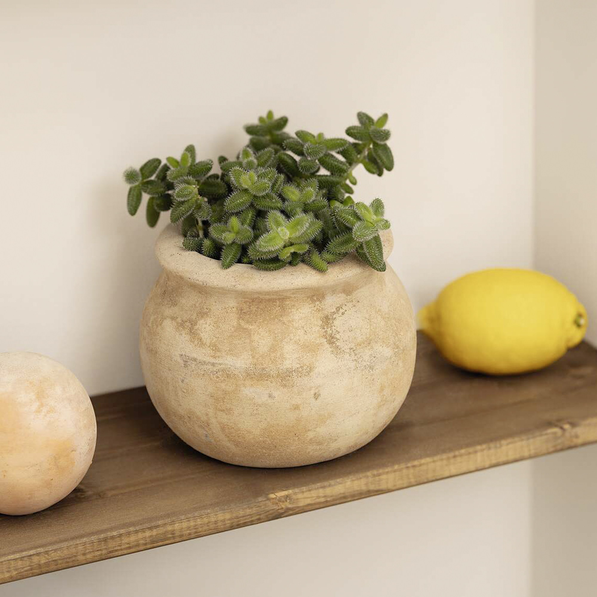 Acheter Jardinière "terre cuite", bombée  dans la boutique en ligne de Frank Flechtwaren