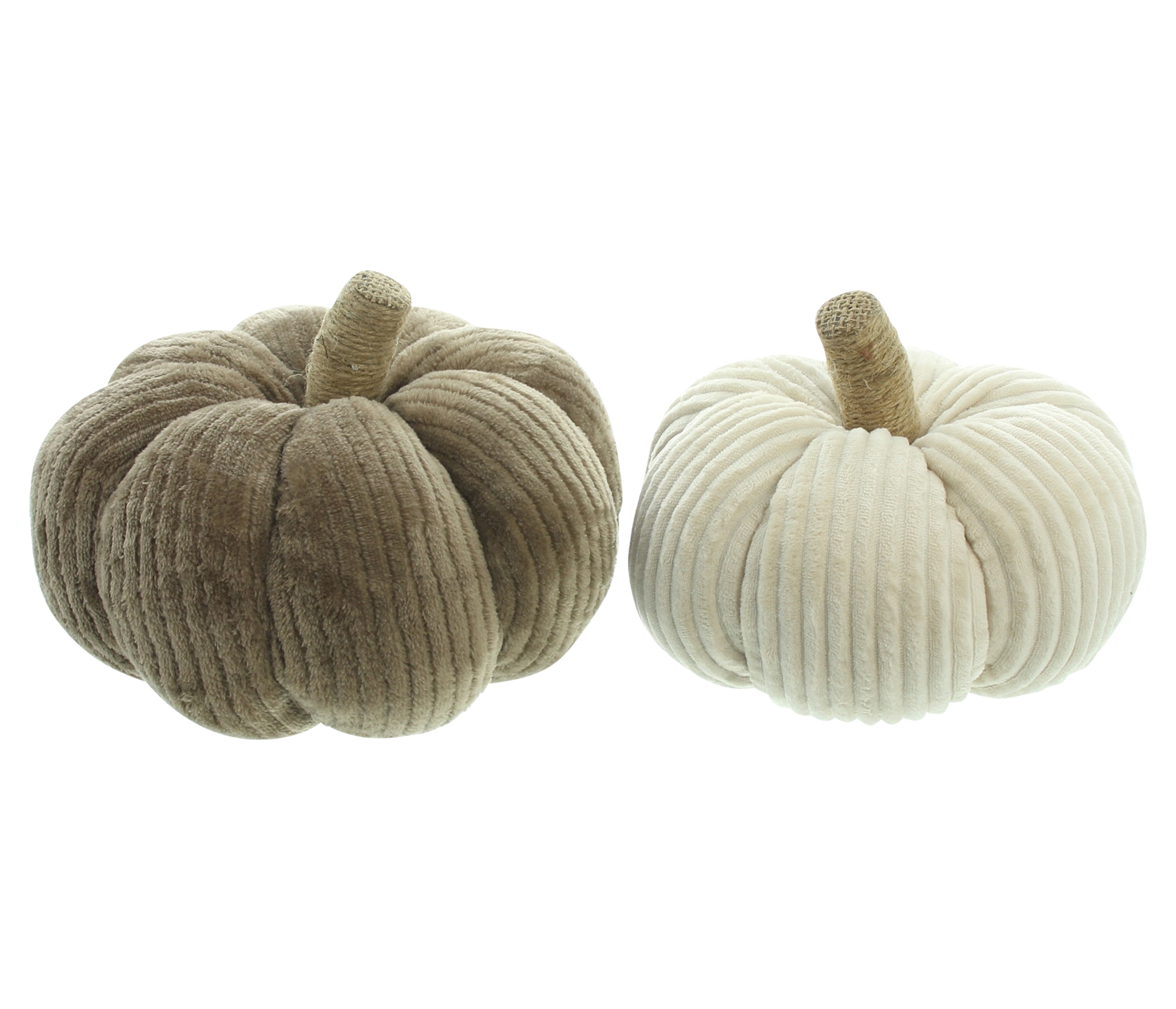 Acheter Lot de 2 citrouilles "velours côtelé"  dans la boutique en ligne de Frank Flechtwaren pour Série titre automne/hiver