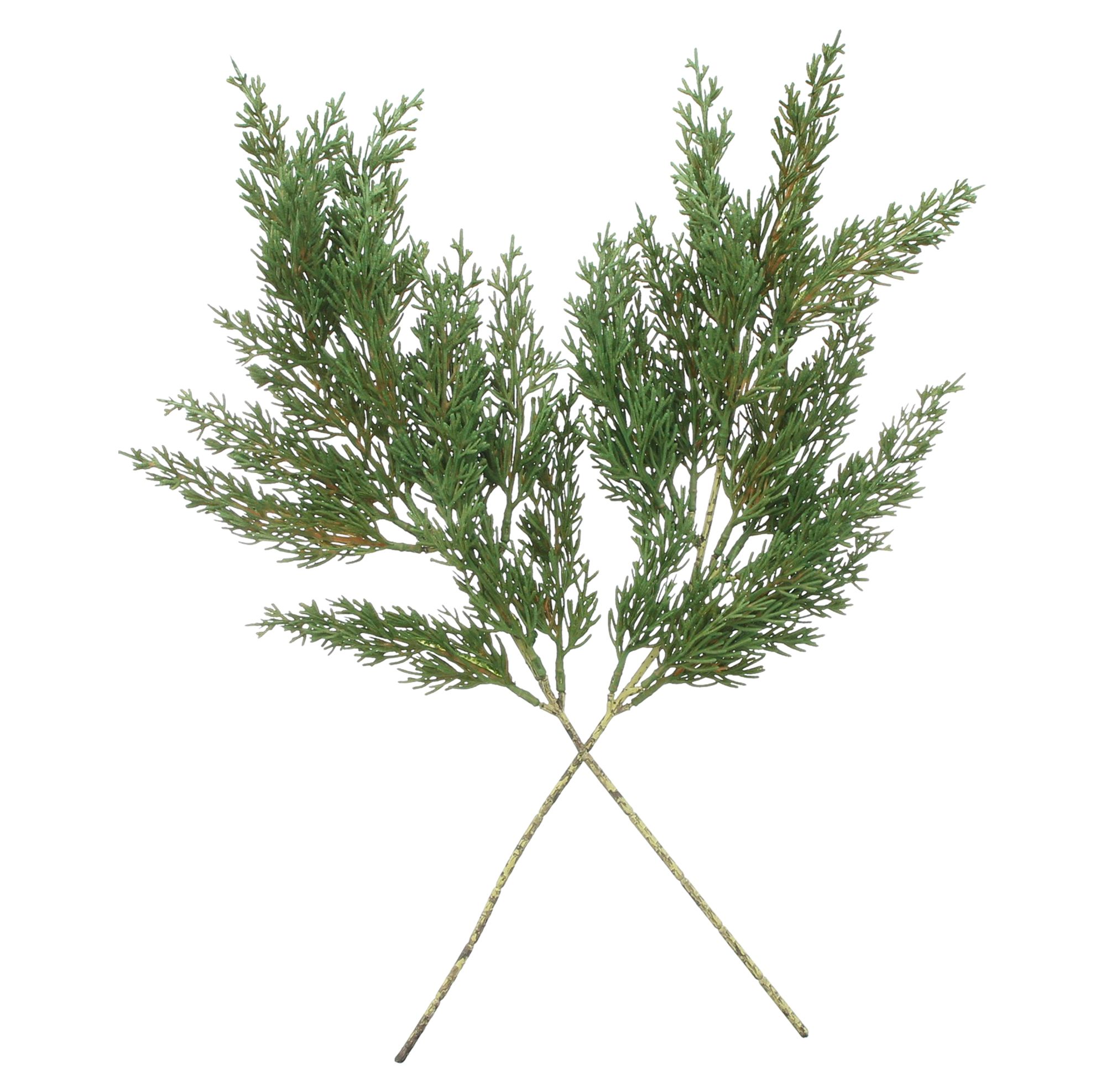 Acheter Branche artificielle « Cèdre », lot de 2 dans la boutique en ligne de Frank Flechtwaren pour Accessoires pour couronnes de l’Avent