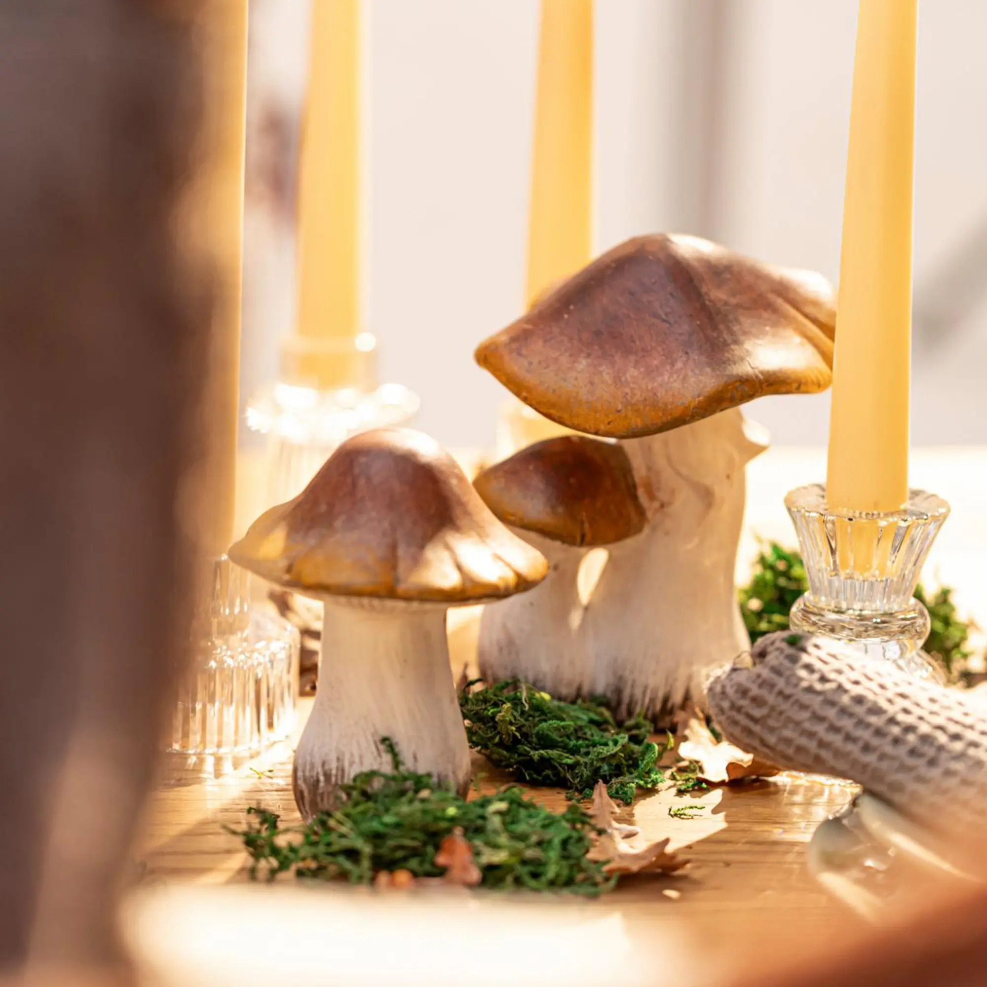 Acheter Champignon décoratif « Brownie », lot de 2 dans la boutique en ligne de Frank Flechtwaren pour Champignons