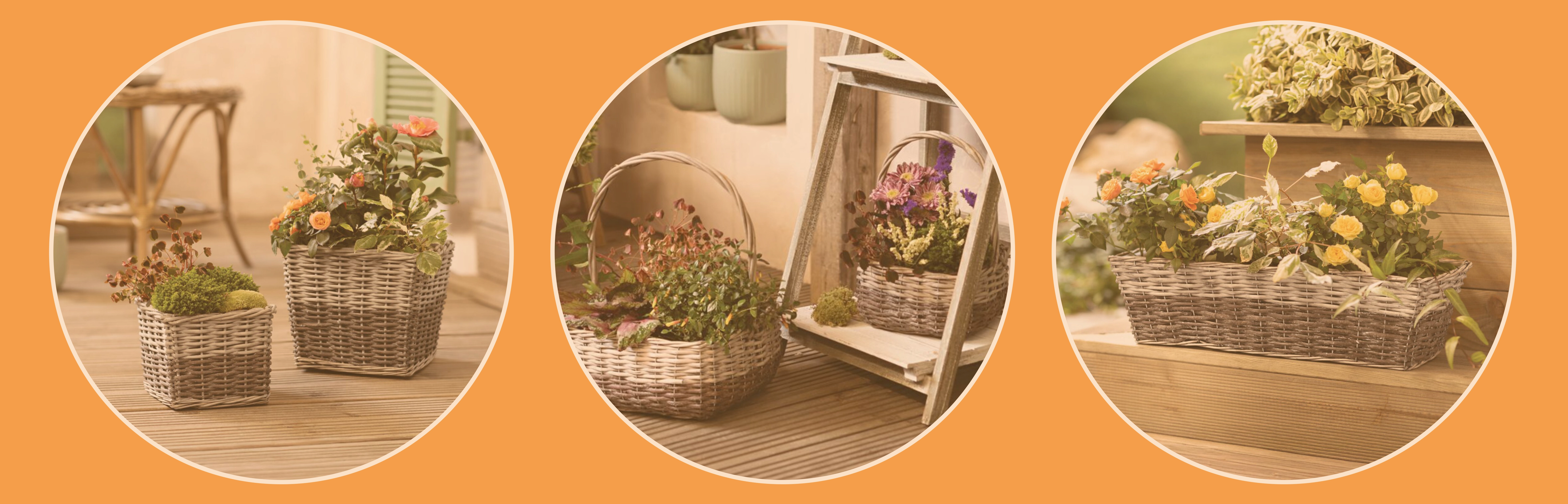 Paniers à plantes : divers paniers tressés garnis de fleurs et de plantes pour une décoration de jardin estivale