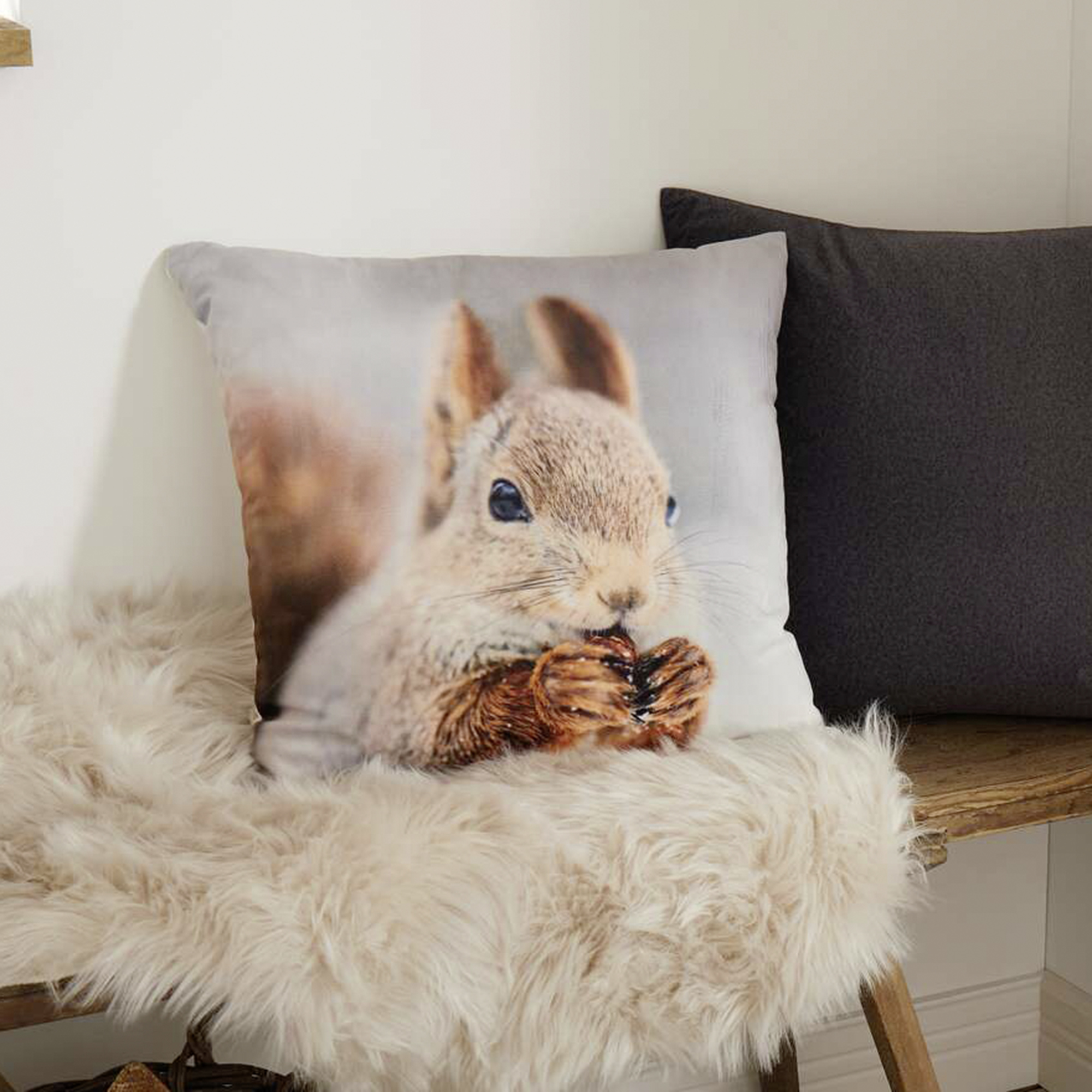 Acheter Housse de coussin "écureuil"  dans la boutique en ligne de Frank Flechtwaren pour Noël