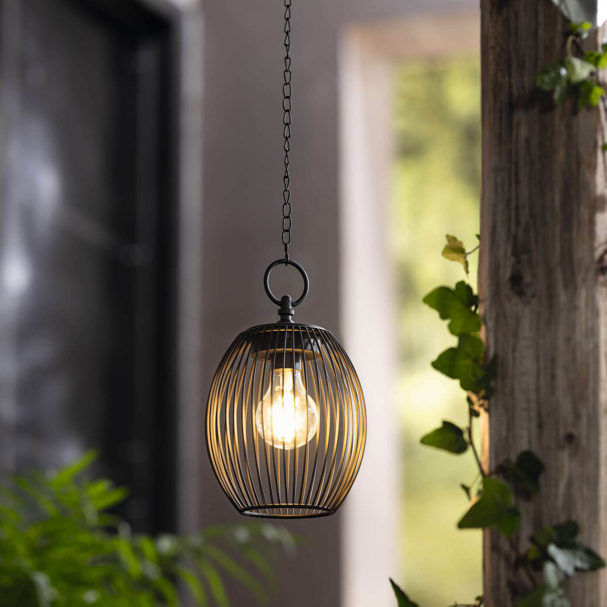 Acheter Suspension LED "solaire"  dans la boutique en ligne de Frank Flechtwaren