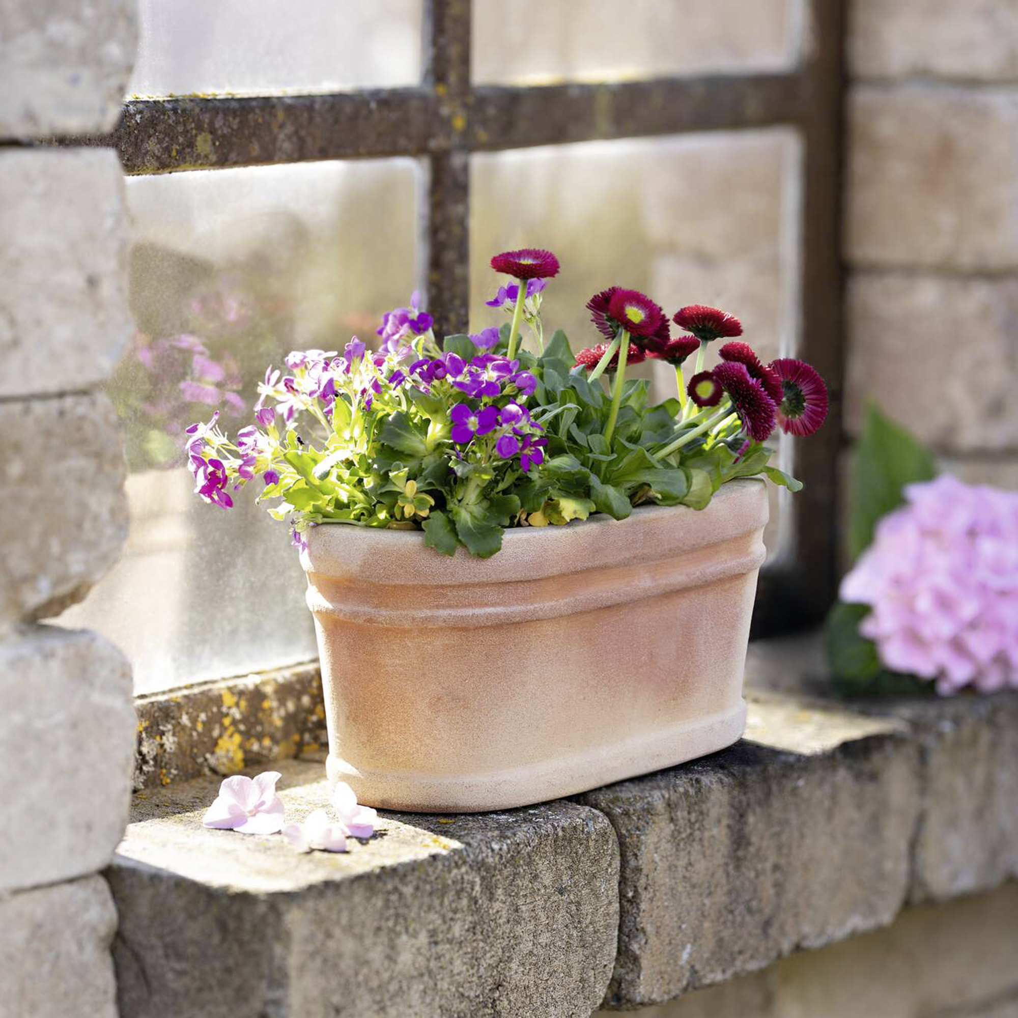 Acheter Jardinière "terre cuite", ovale dans la boutique en ligne de Frank Flechtwaren pour Pots de fleurs Acheter Jardinière "terre cuite", ovale dans la boutique en ligne de Frank Flechtwaren pour Pots de fleurs