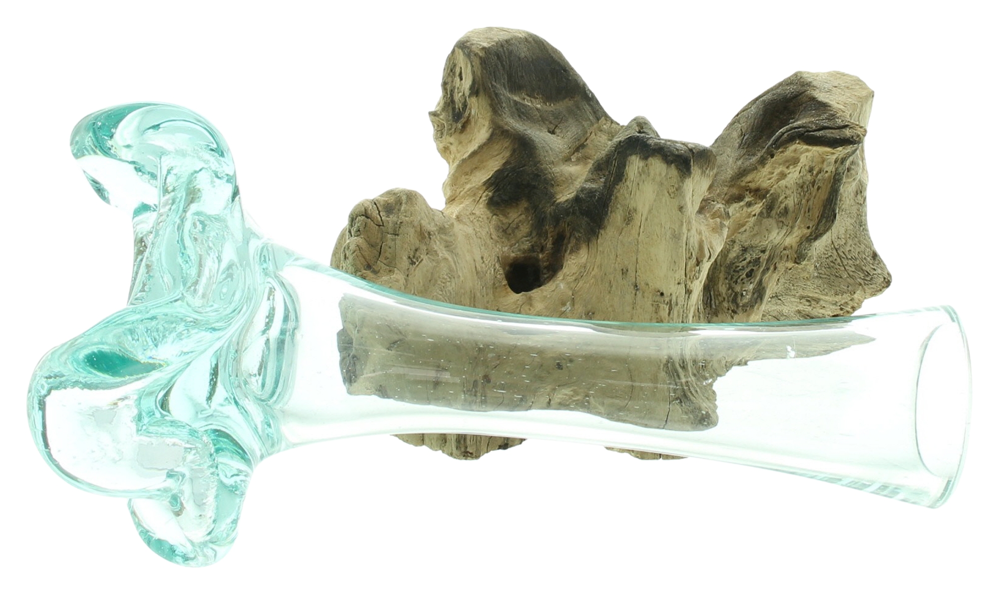 Acheter Vase "bois de racine", haut  dans la boutique en ligne de Frank Flechtwaren pour Vases