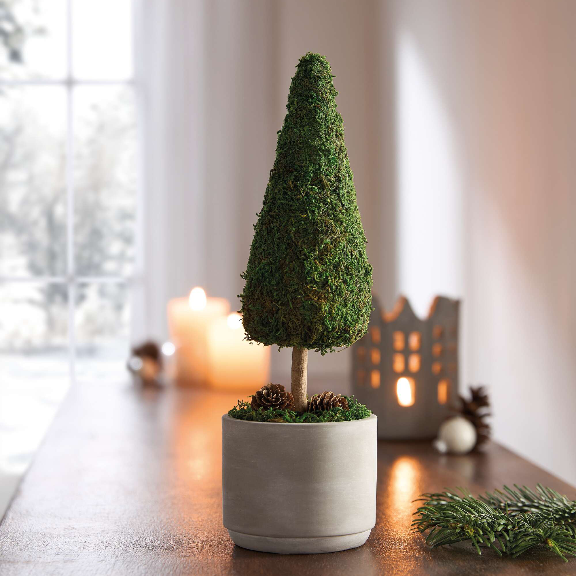 Acheter Sapin "mousse"  dans la boutique en ligne de Frank Flechtwaren