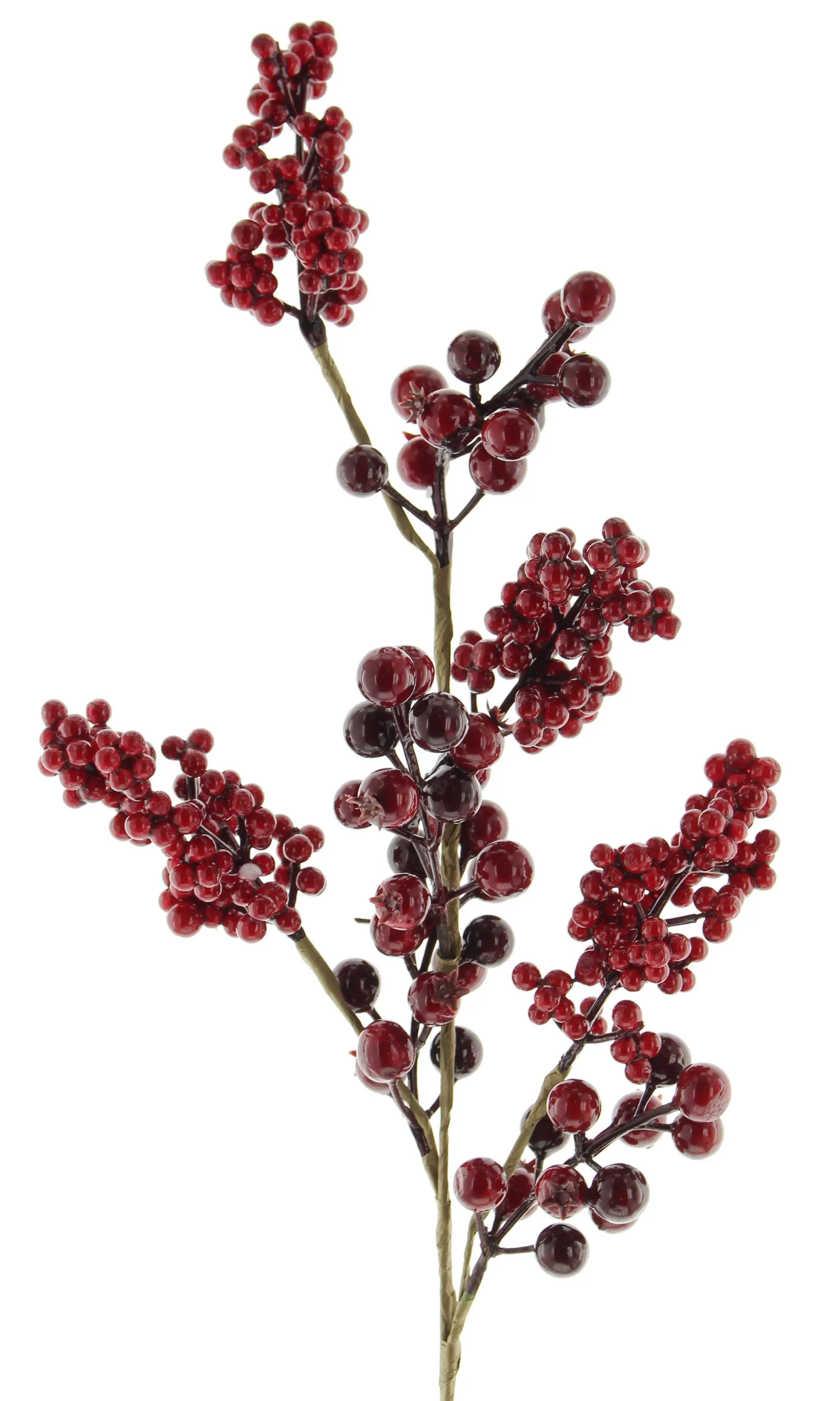 Acheter Brindilles de décoration "baies rouges" dans la boutique en ligne de Frank Flechtwaren pour Couronnes et bouquets Acheter Brindilles de décoration "baies rouges" dans la boutique en ligne de Frank Flechtwaren pour Couronnes et bouquets