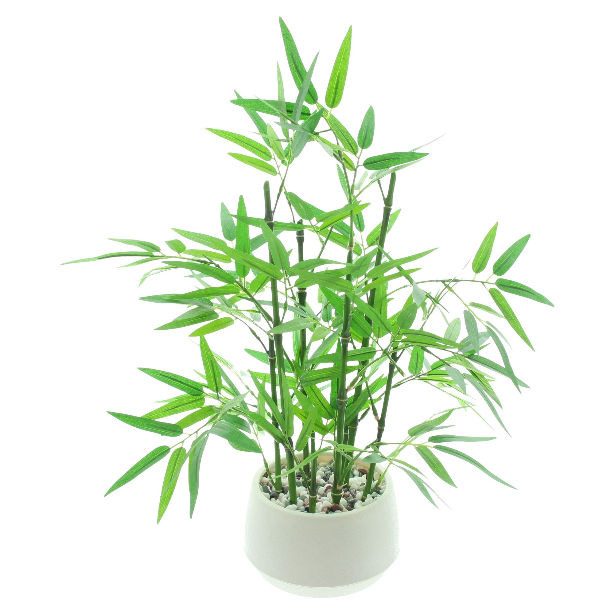 Acheter Plante artificielle "Bambou" avec pot  dans la boutique en ligne de Frank Flechtwaren pour Plantes artificielles