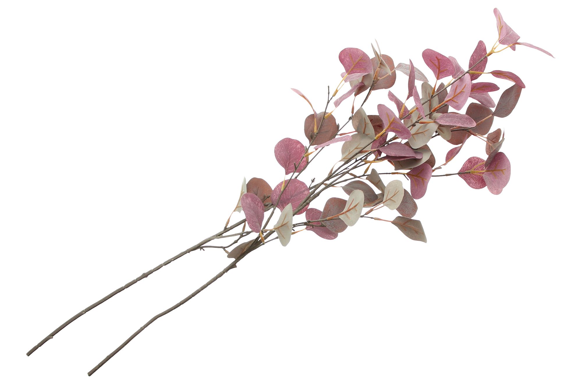 Acheter Lot de 2 branches d'eucalyptus "mauve"  dans la boutique en ligne de Frank Flechtwaren pour Automne