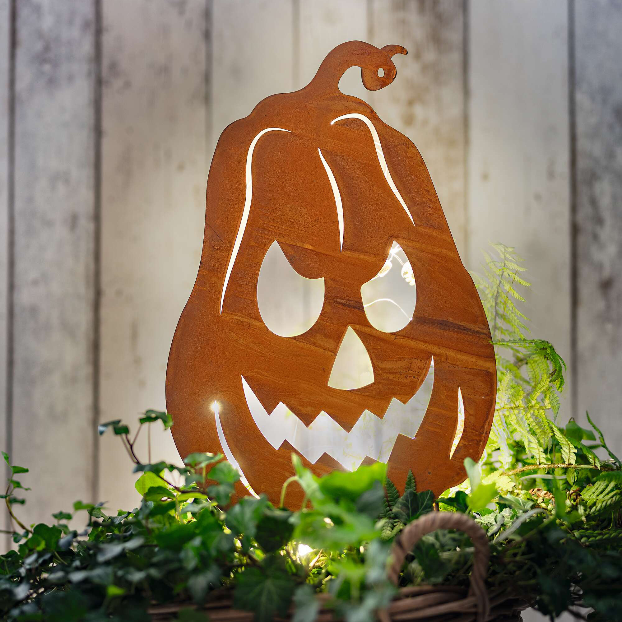 Acheter Pic LED "citrouille"  dans la boutique en ligne de Frank Flechtwaren