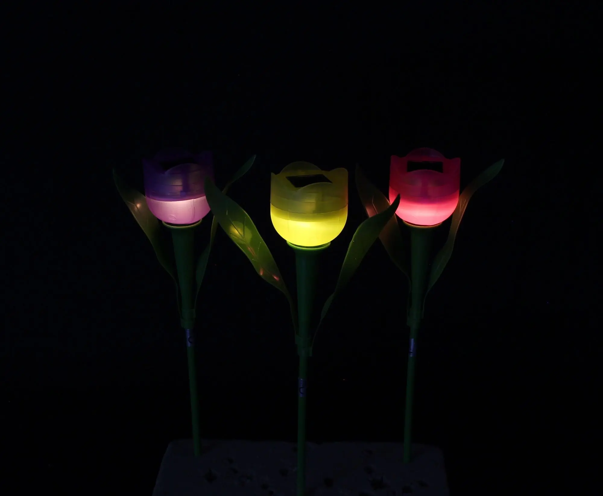 Acheter Lot de déco solaires "tulipe"  dans la boutique en ligne de Frank Flechtwaren pour Éclairage solaire
