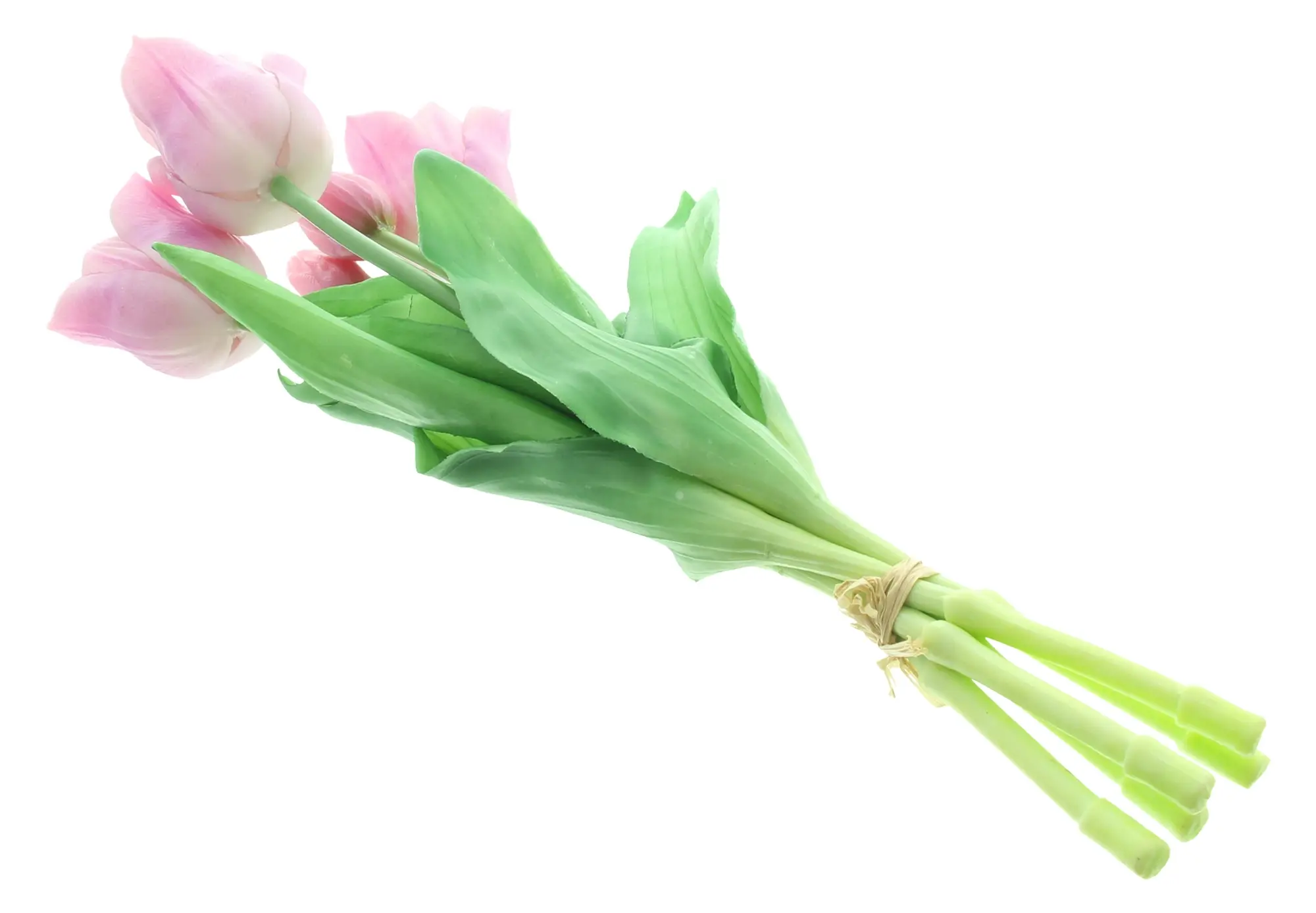 Acheter Lot de 5 tulipes "lila"  dans la boutique en ligne de Frank Flechtwaren pour Tons pastel