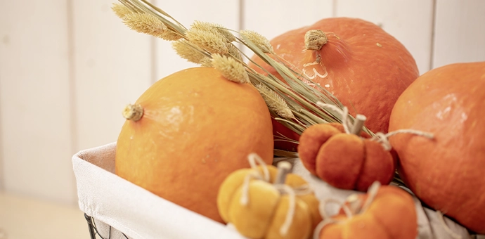Décoration d'automne : citrouilles orange et citrouilles décoratives accompagnées d'herbes séchées pour une décoration automnale