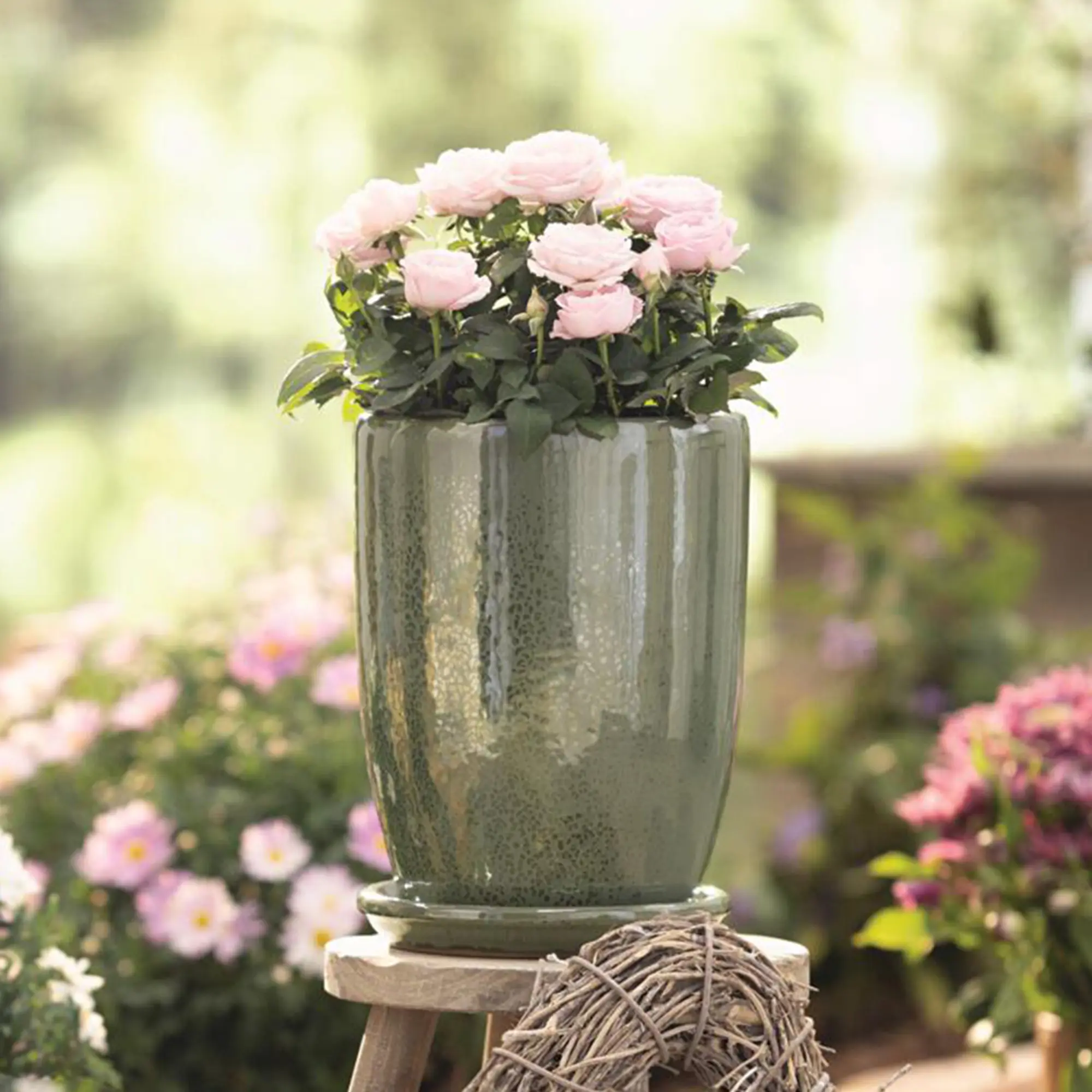 Acheter Pot de fleurs "Jardin d'oliviers"avec soucoupe, 2p  dans la boutique en ligne de Frank Flechtwaren