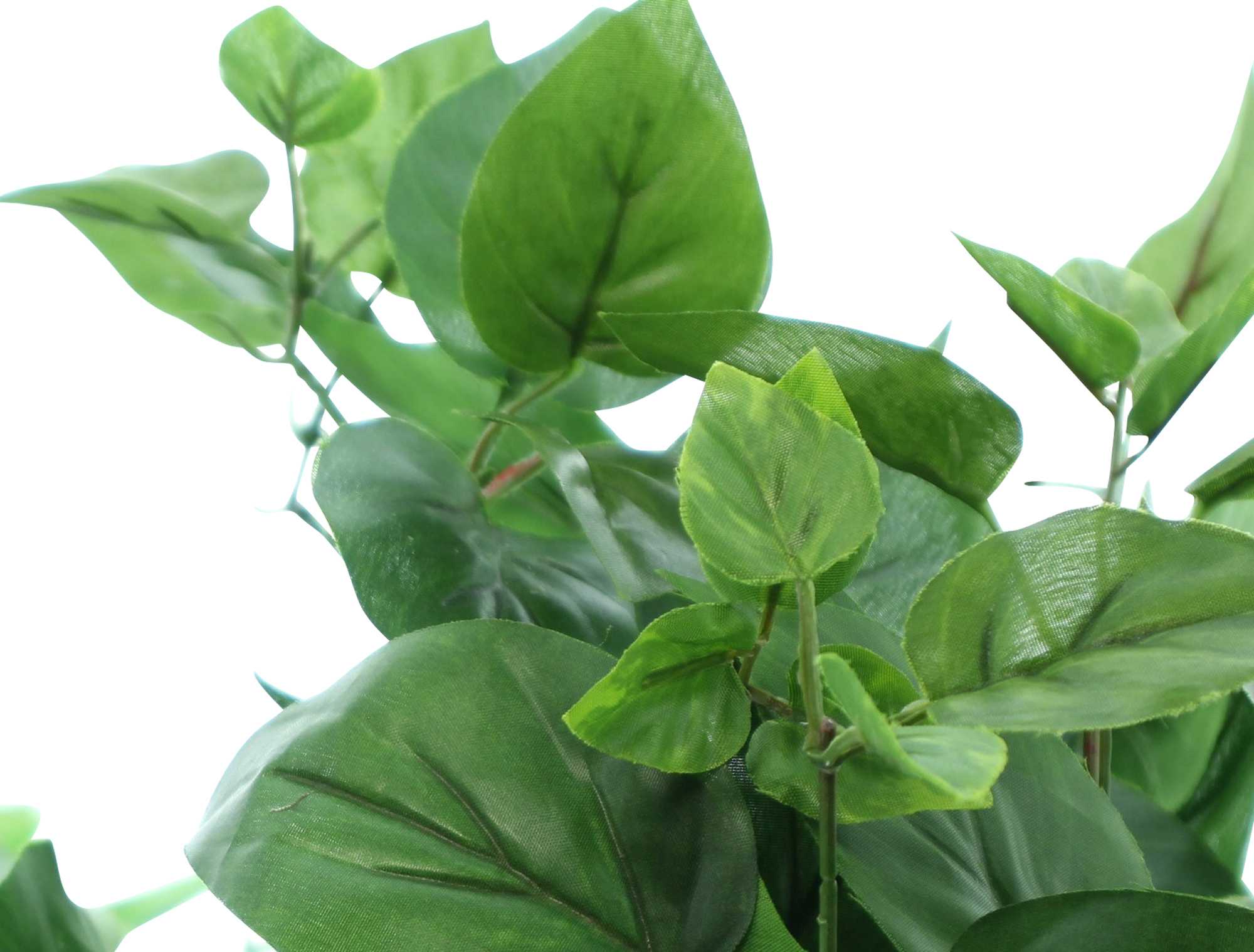 Acheter Liane de lierre "vert feuille"  dans la boutique en ligne de Frank Flechtwaren pour Plantes artificielles