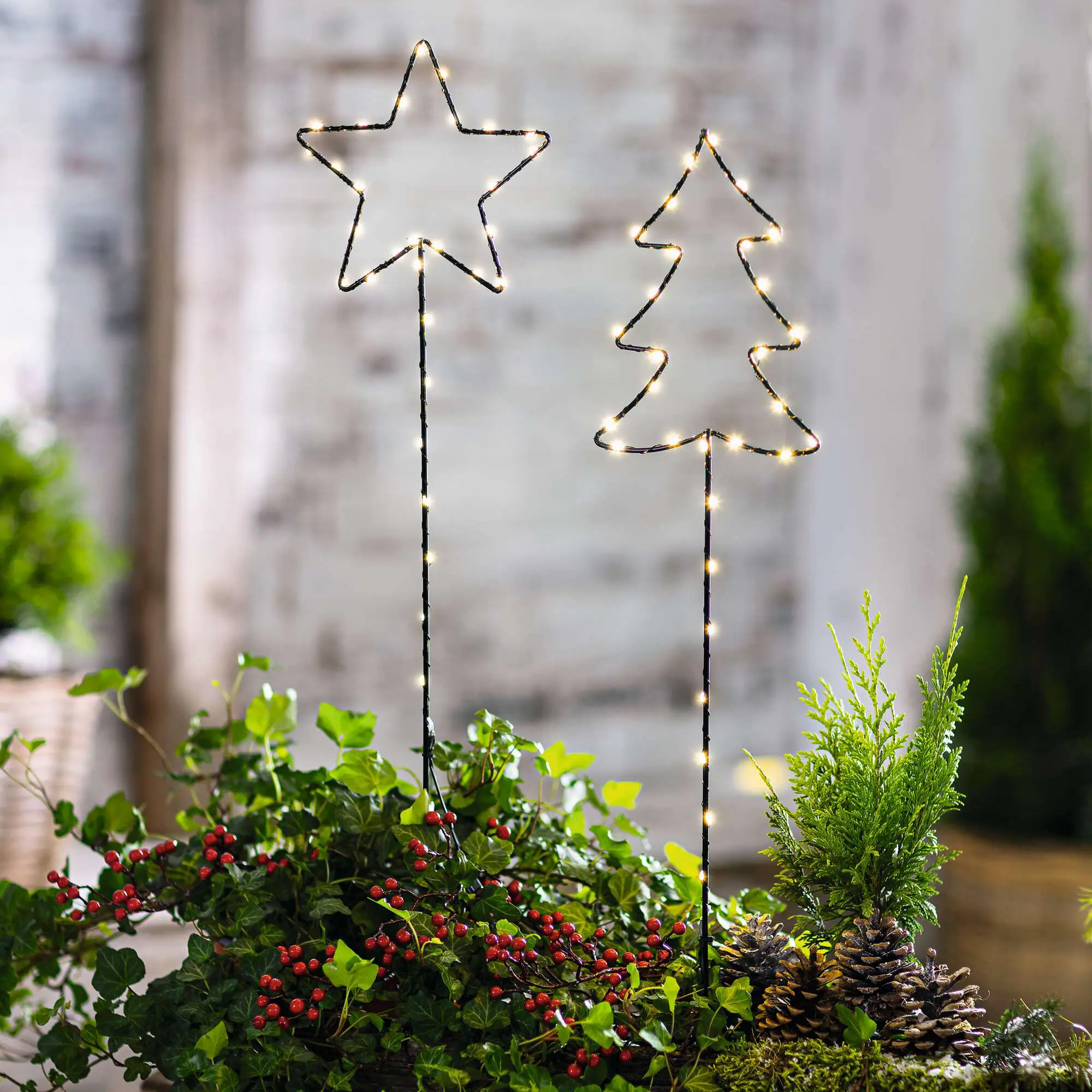 Acheter Lot de 2 pics LED "sapin &amp; étoile"  dans la boutique en ligne de Frank Flechtwaren