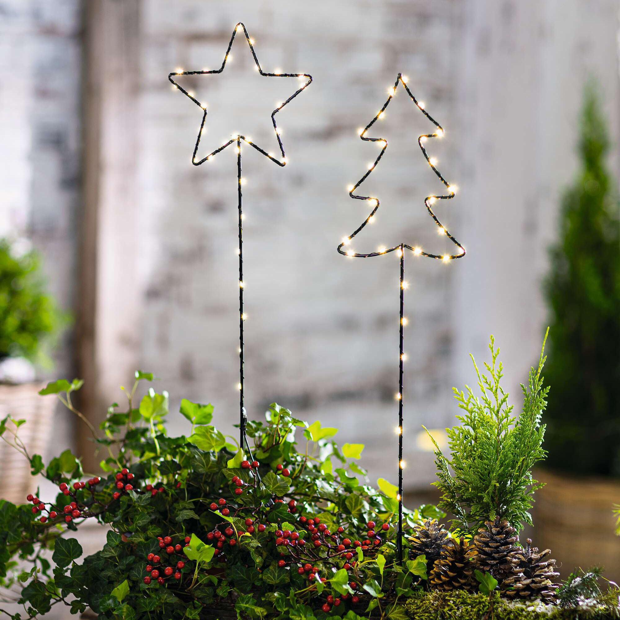 Acheter Lot de 2 pics LED "sapin &amp; étoile"  dans la boutique en ligne de Frank Flechtwaren pour Confettis de table et piques