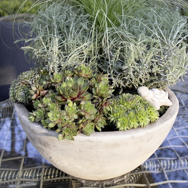 Bac à plantes rond en pierre avec différentes plantes succulentes et des graminées ornementales, formant un arrangement décoratif