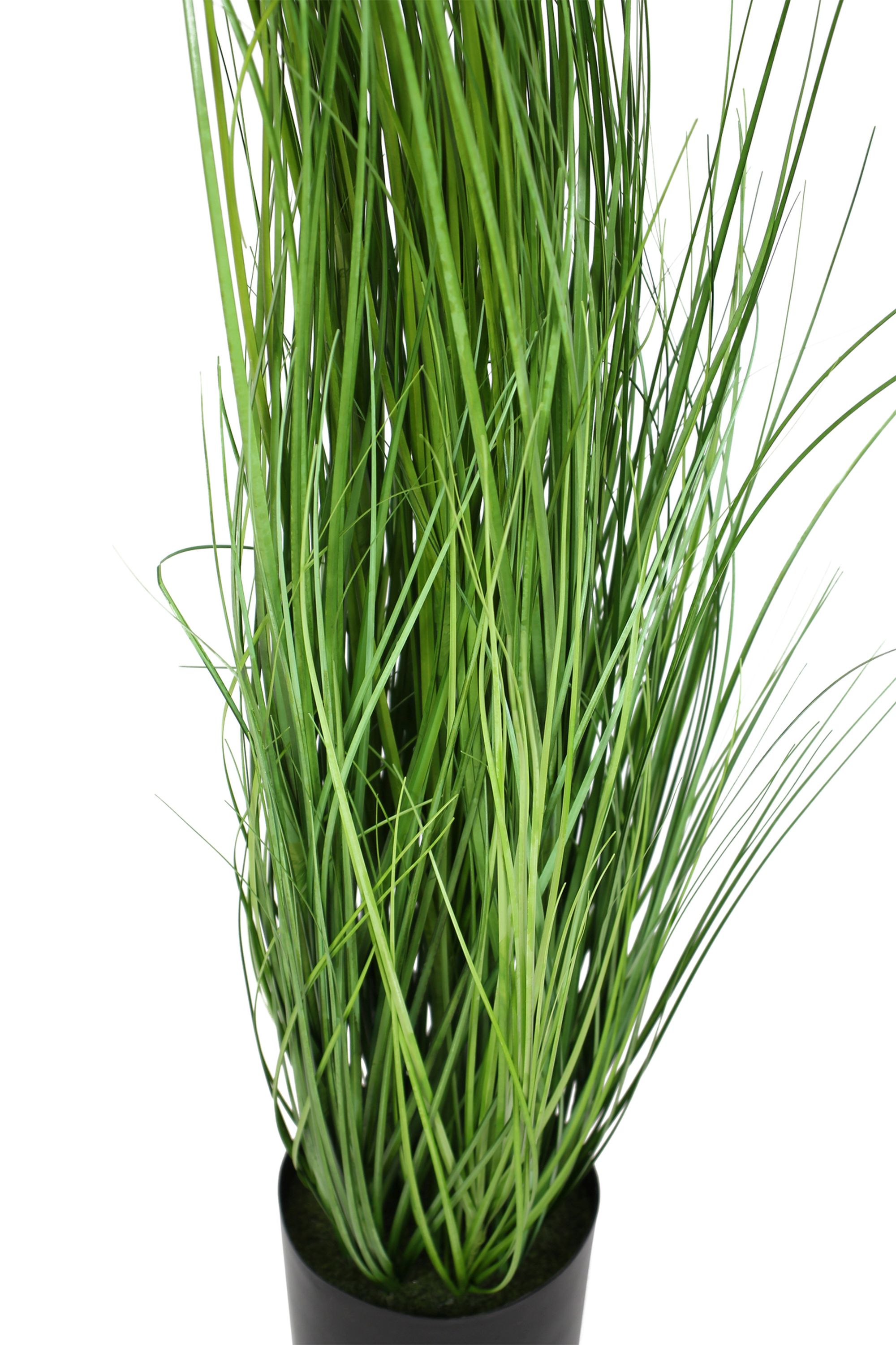Acheter Plante "herbe"  dans la boutique en ligne de Frank Flechtwaren pour Pâques