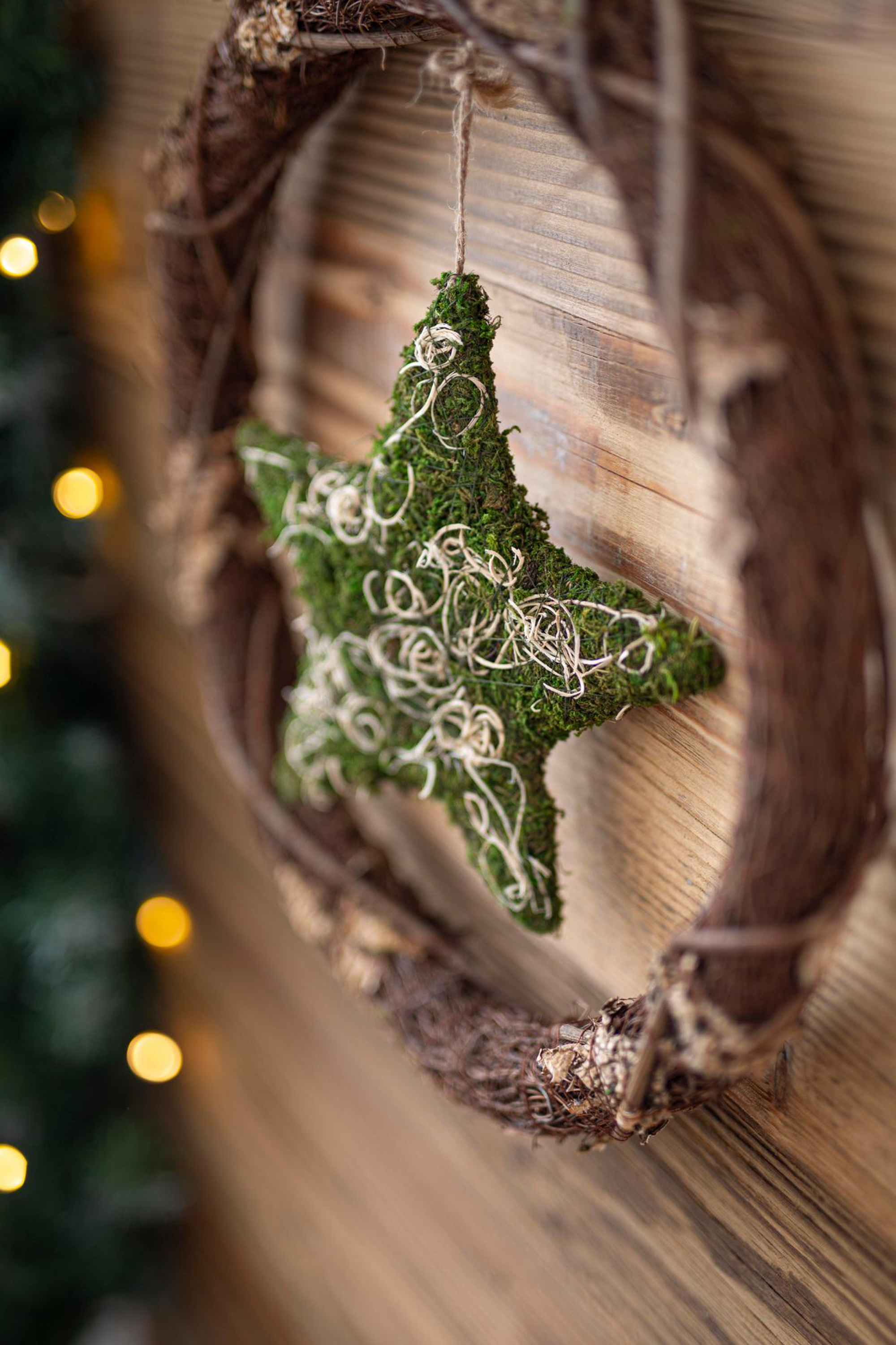 Acheter Couronne « Étoile de mousse »  dans la boutique en ligne de Frank Flechtwaren pour Shabby Chic