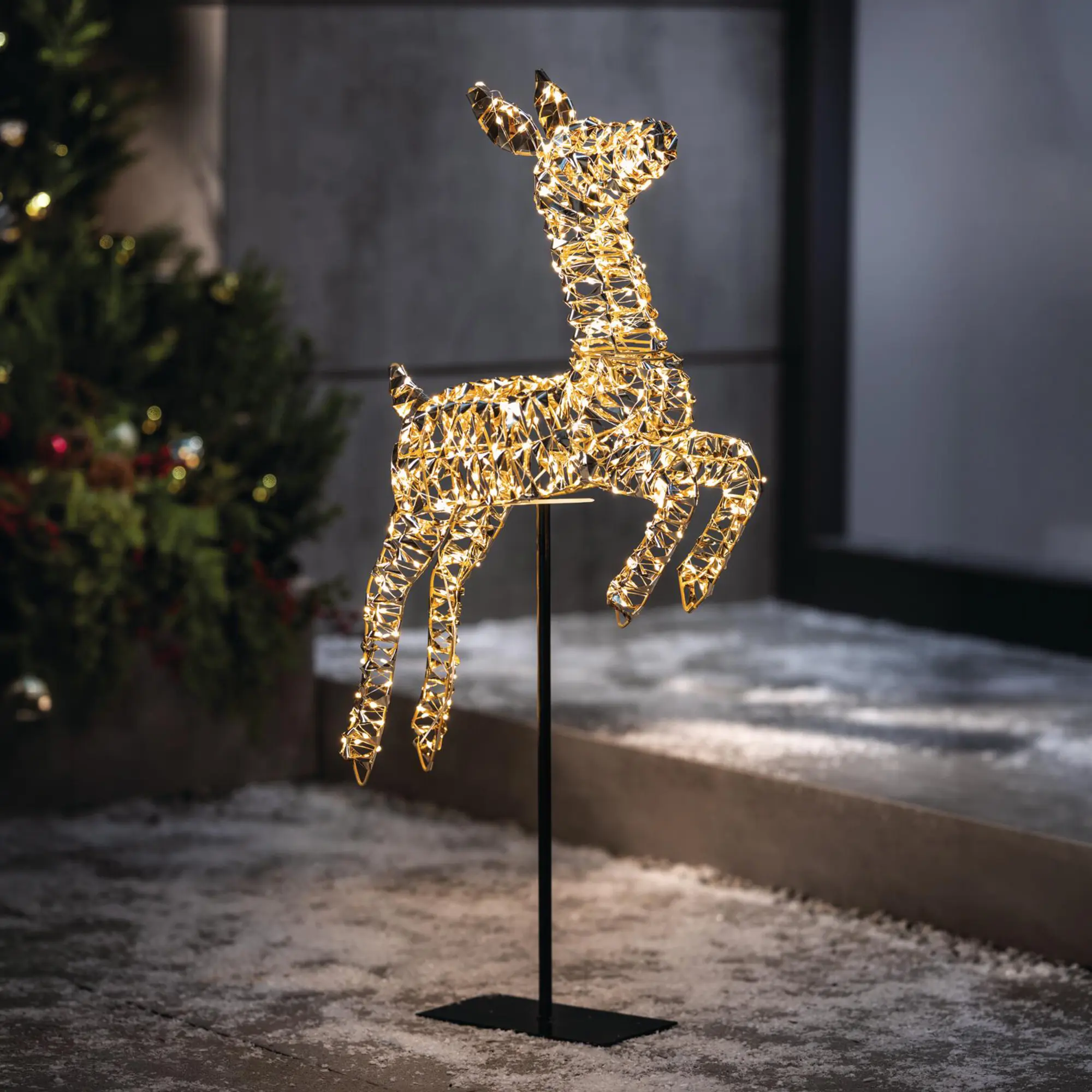 Acheter Renne LED « Golden »  dans la boutique en ligne de Frank Flechtwaren