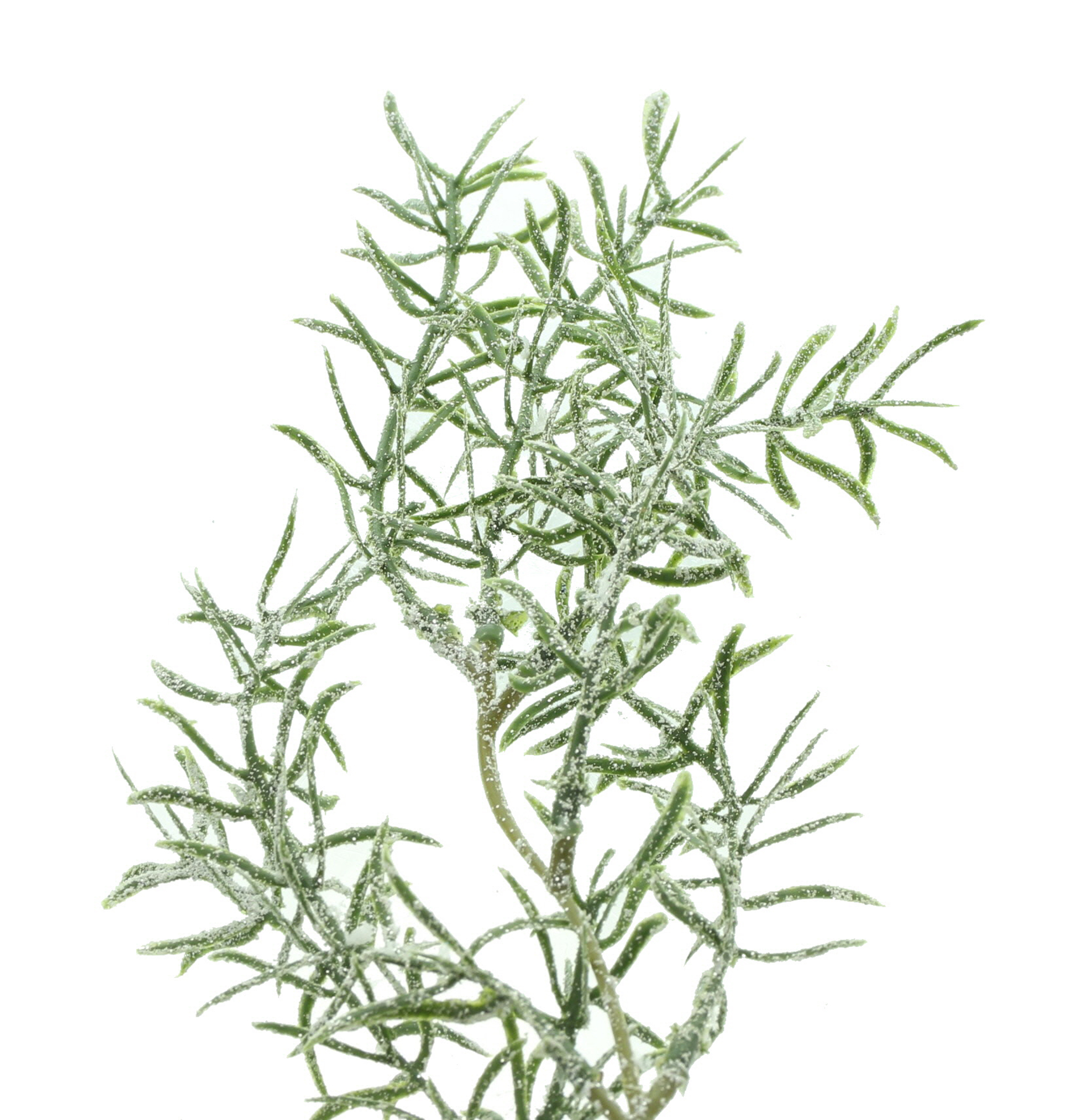 Acheter Guirlande glacée "scintillante"  dans la boutique en ligne de Frank Flechtwaren pour Noël