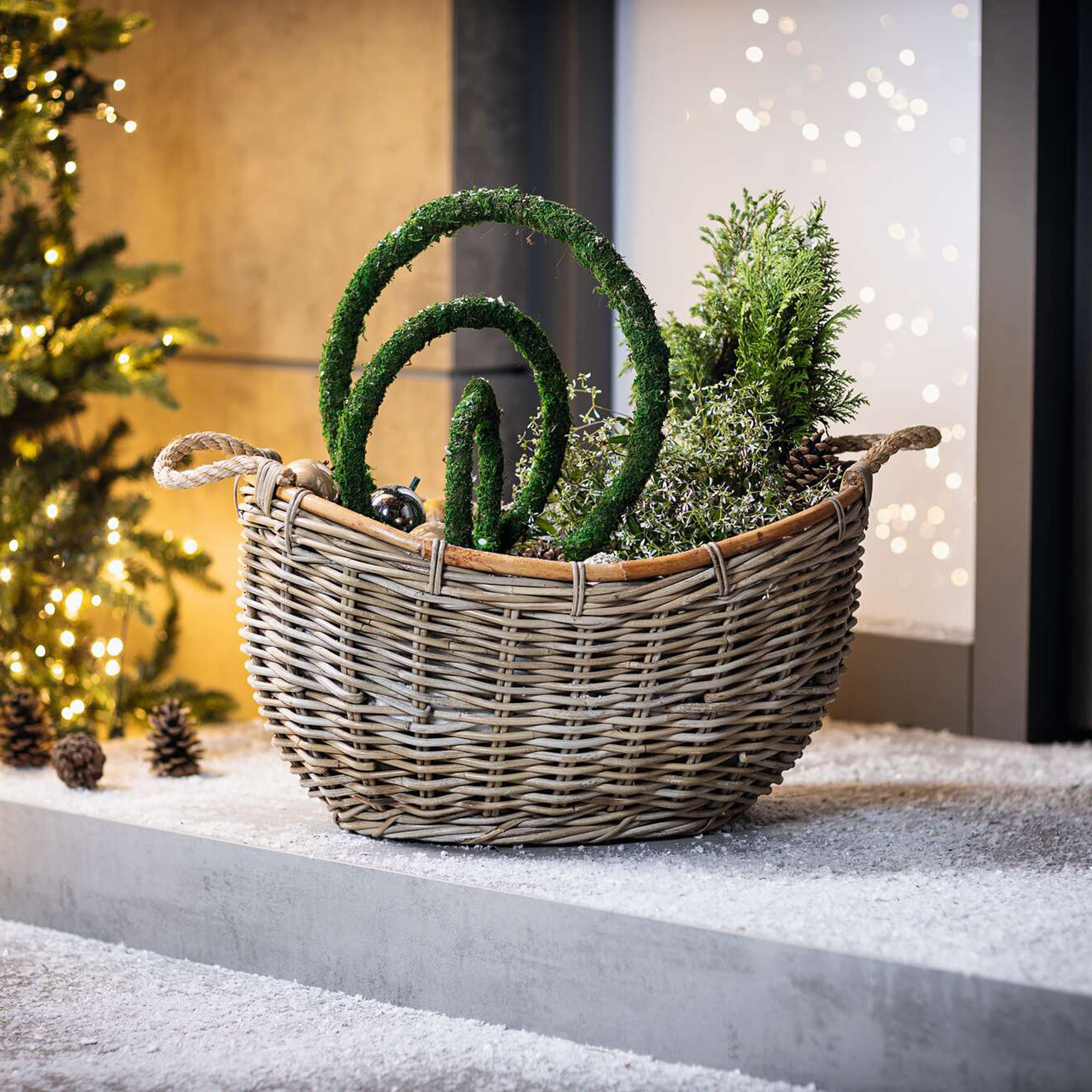 Acheter Lot de 3 anneaux décoratifs "mousse"  dans la boutique en ligne de Frank Flechtwaren