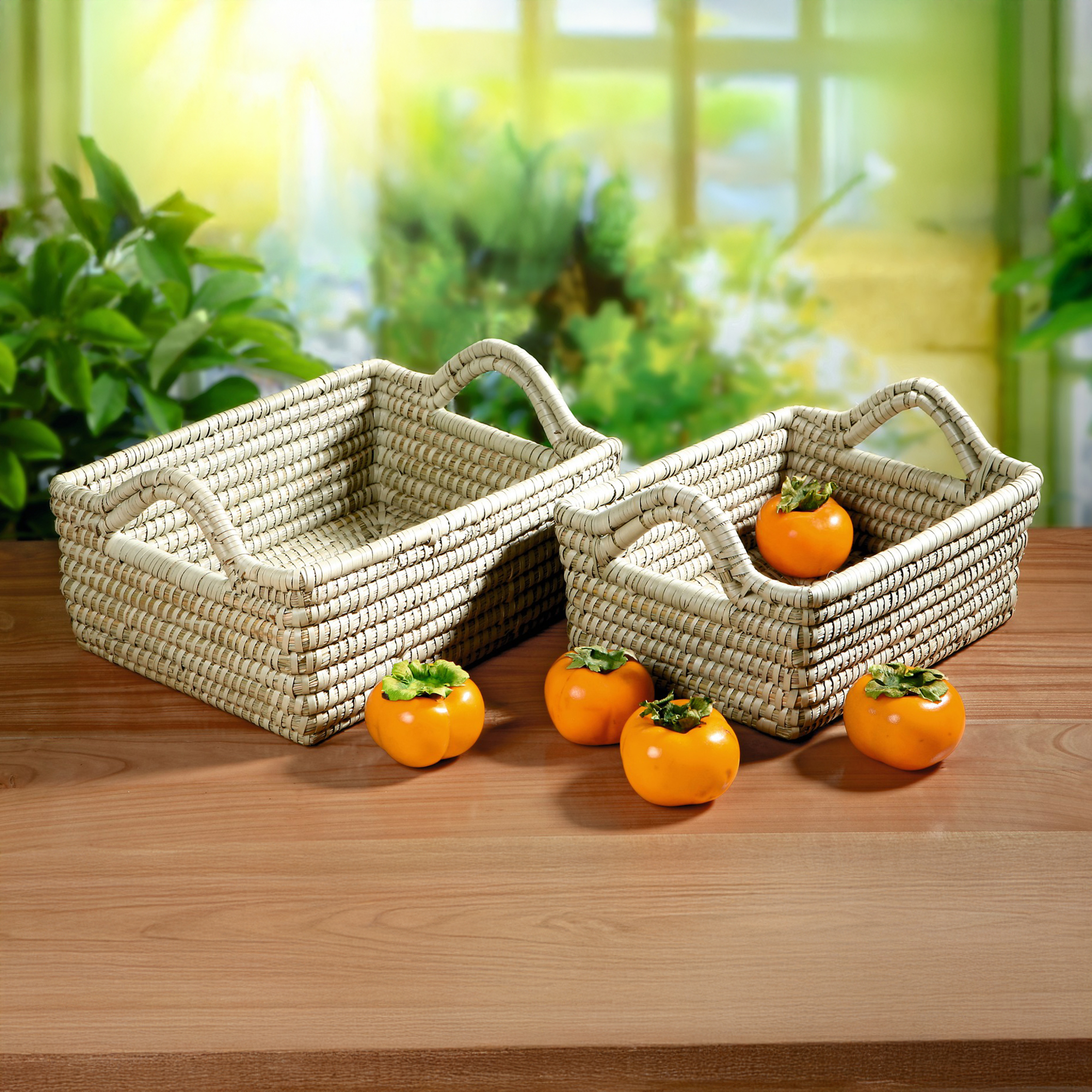 Acheter Lot de 2 paniers de rangement "zostère"  dans la boutique en ligne de Frank Flechtwaren