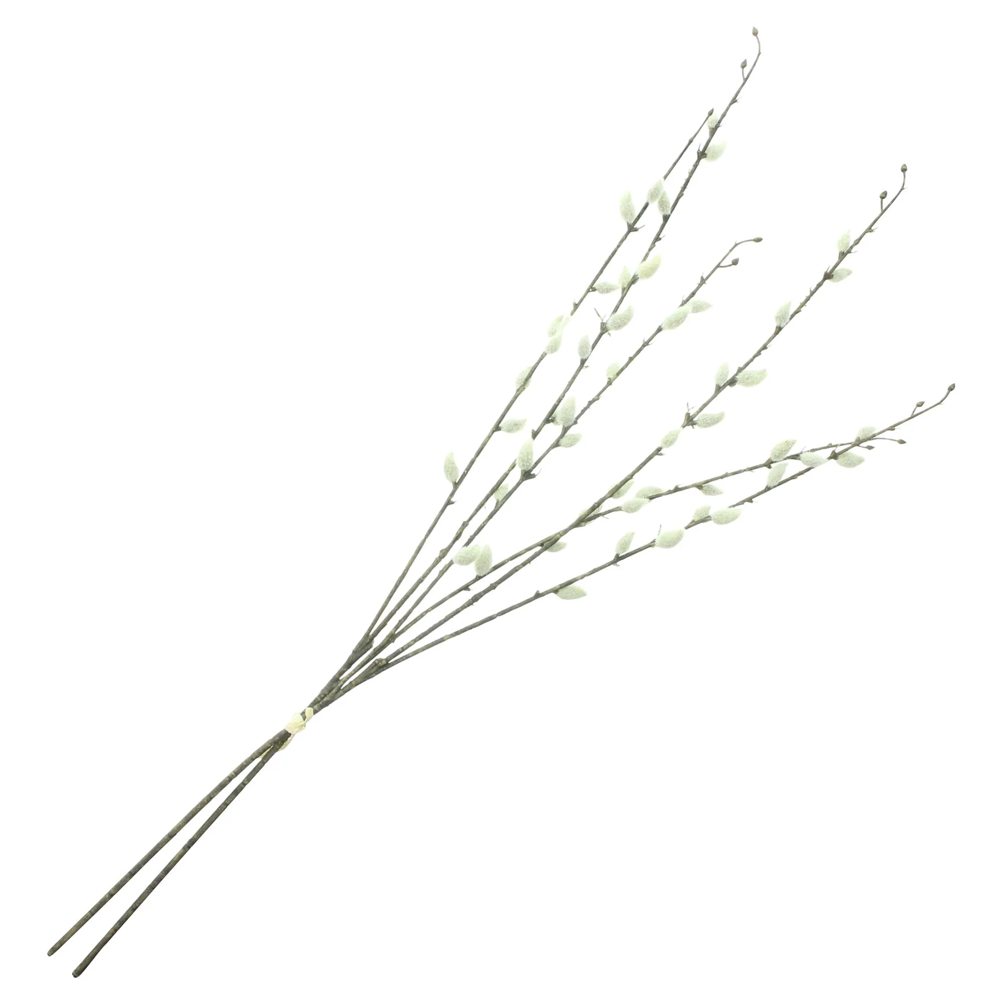 Acheter Lot de 2 branches décoratives "chaton"  dans la boutique en ligne de Frank Flechtwaren pour Charme champêtre