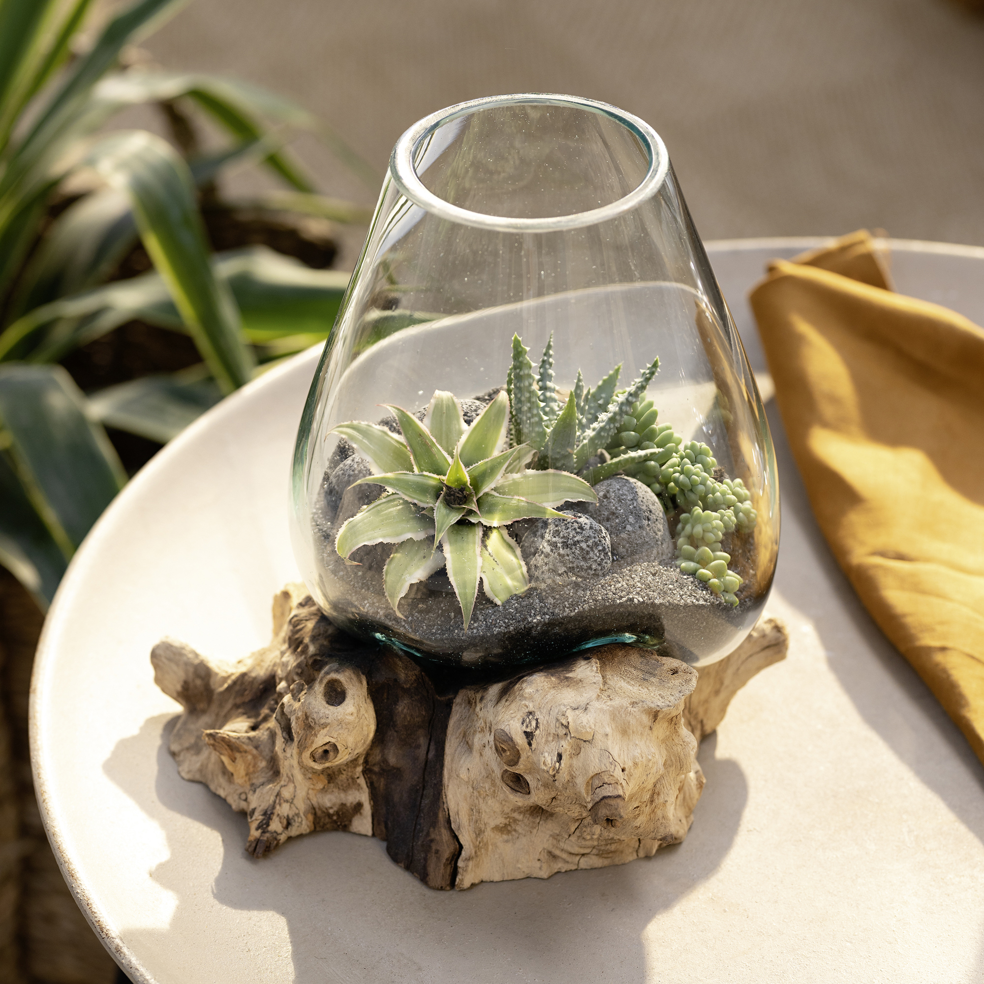 Acheter Vase sur bois "Aqua"  dans la boutique en ligne de Frank Flechtwaren