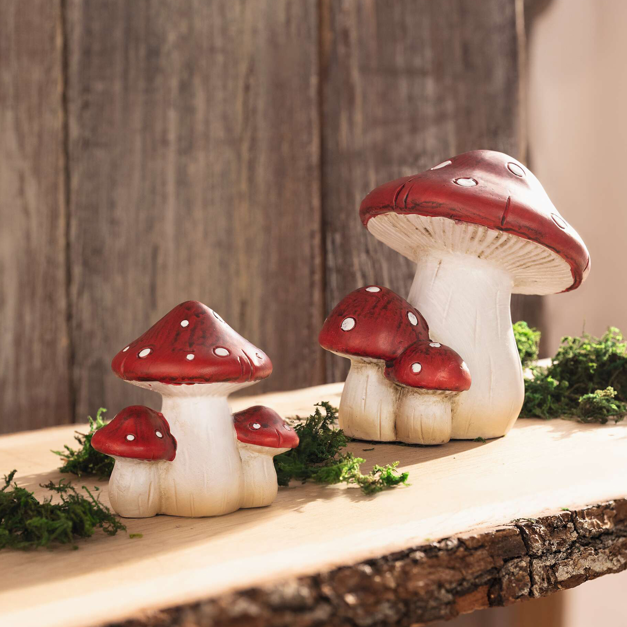 Acheter Lot de 2 amanites "famille"  dans la boutique en ligne de Frank Flechtwaren pour Champignons