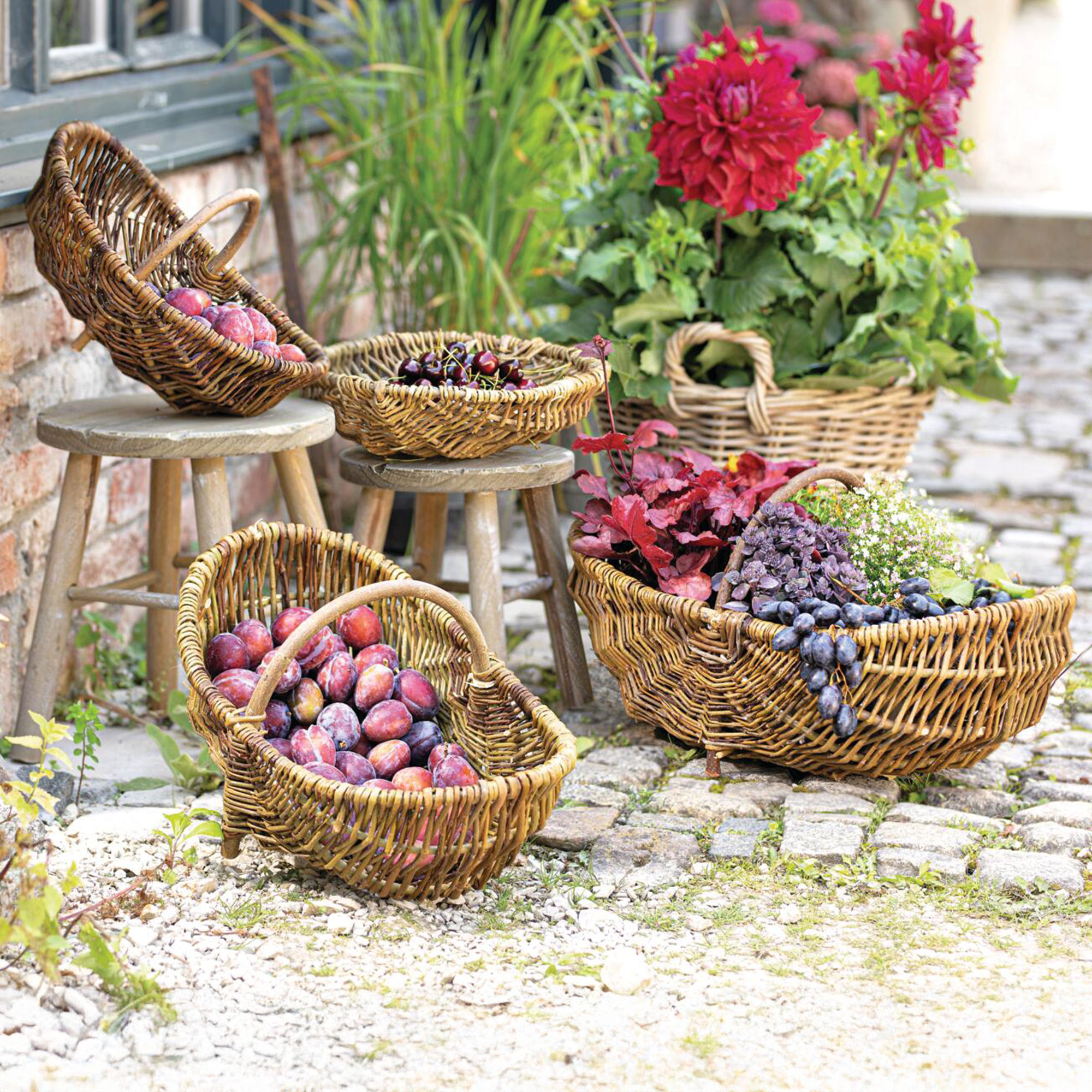 Acheter Panier "anse en bois",MM  dans la boutique en ligne de Frank Flechtwaren