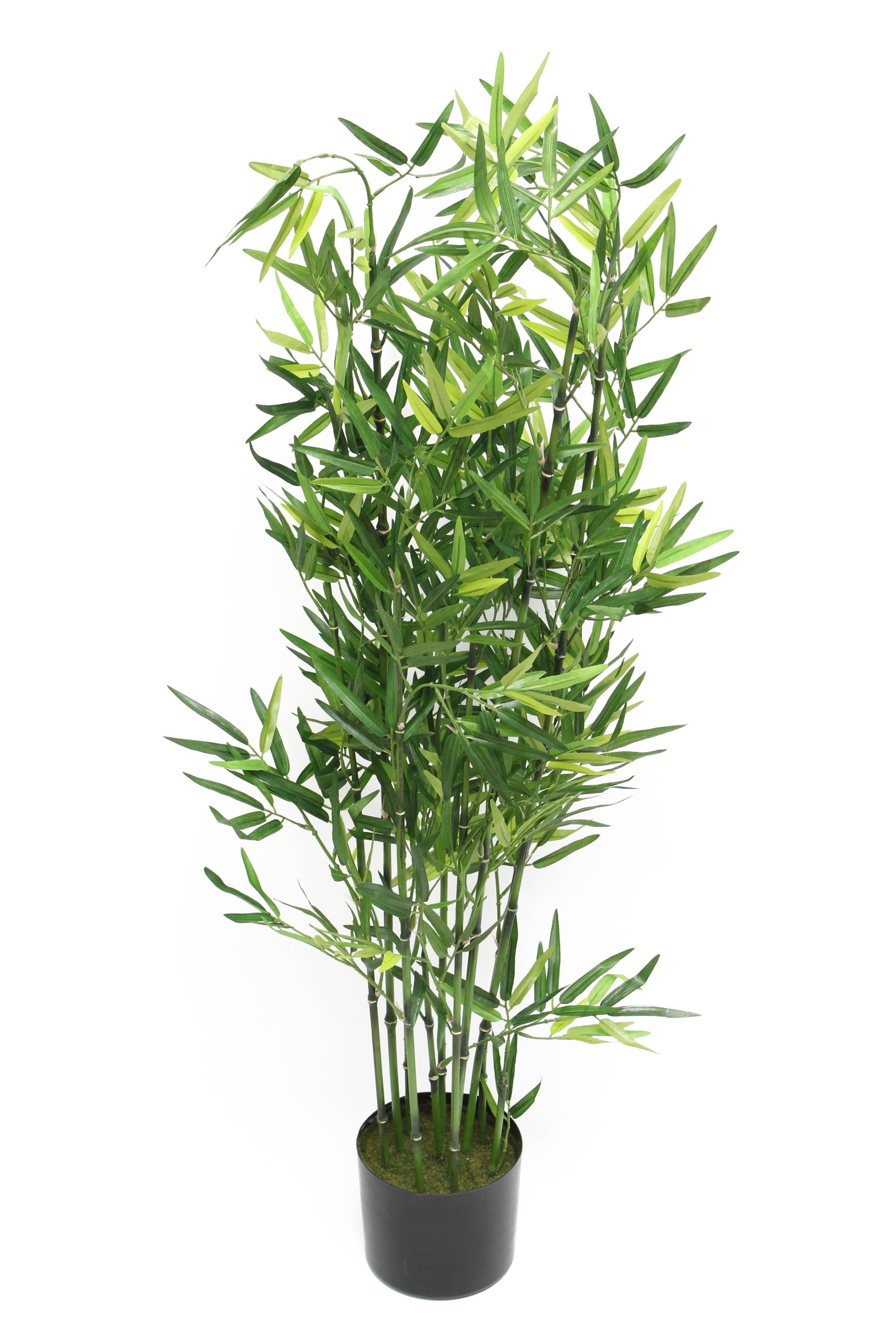 Acheter Plante "bambou"  dans la boutique en ligne de Frank Flechtwaren pour Plantes artificielles