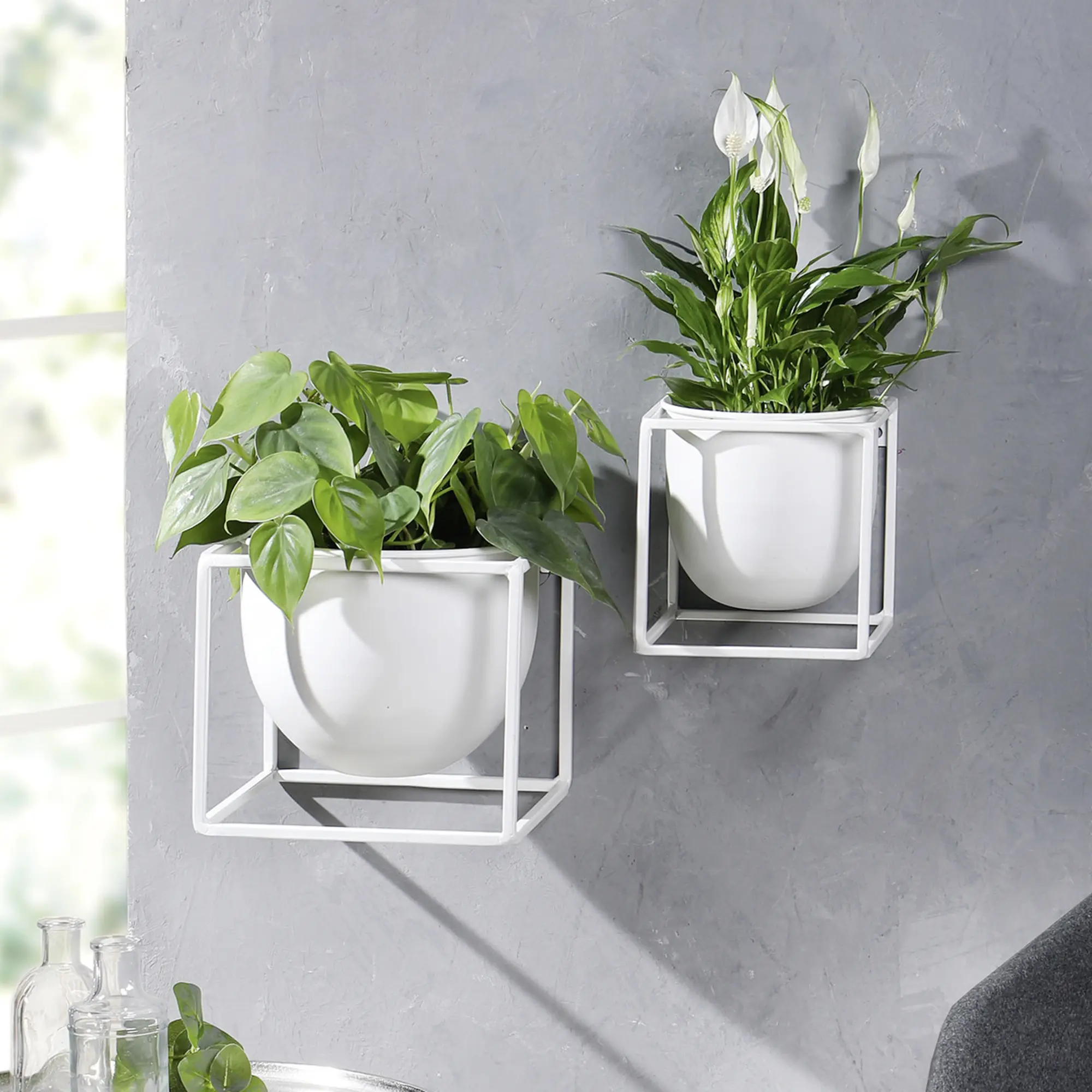 Acheter Jardinière murale "White", PM  dans la boutique en ligne de Frank Flechtwaren