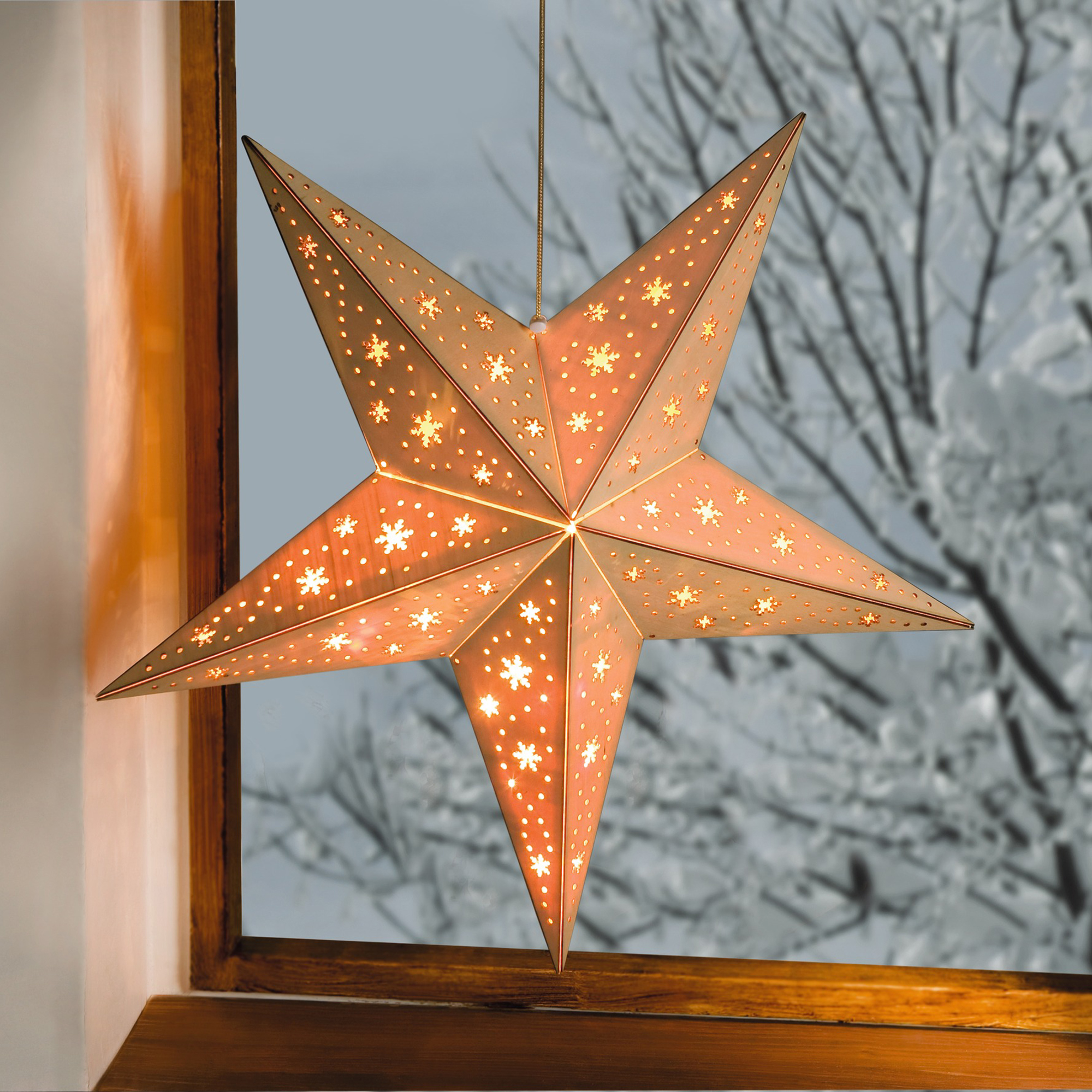 Acheter Étoile en bois avec guirlande LED  dans la boutique en ligne de Frank Flechtwaren