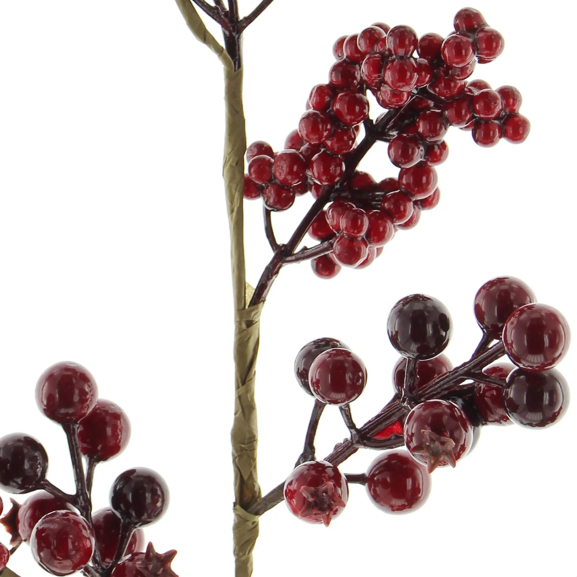Acheter Brindilles de décoration "baies rouges" dans la boutique en ligne de Frank Flechtwaren pour Couronnes et bouquets Acheter Brindilles de décoration "baies rouges" dans la boutique en ligne de Frank Flechtwaren pour Couronnes et bouquets