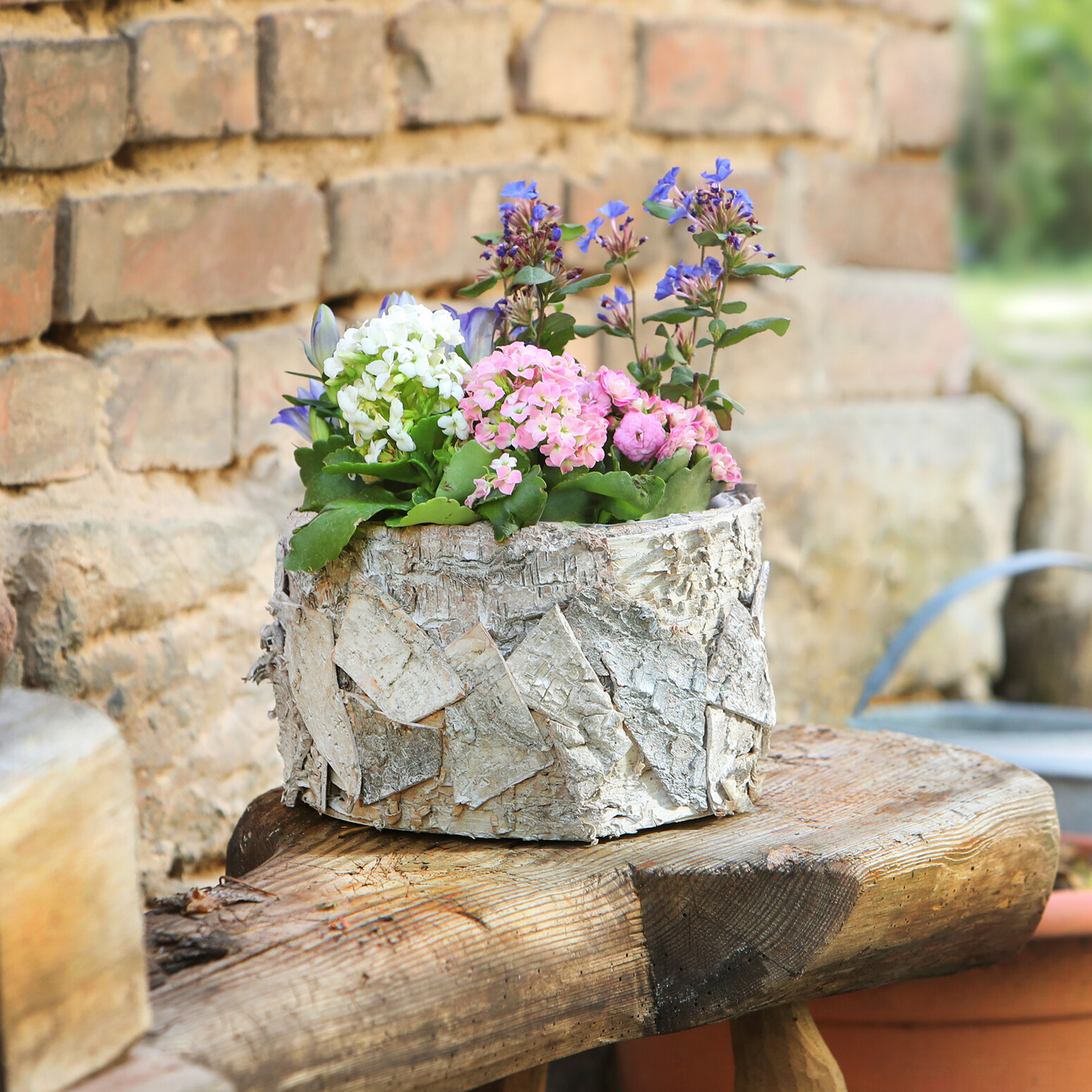 Acheter Jardinière "écorce de bouleau"  dans la boutique en ligne de Frank Flechtwaren